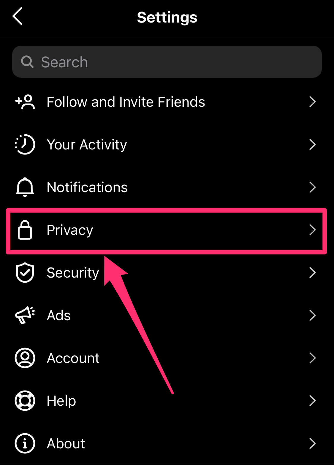 Screenshot of Instagram app Settings page