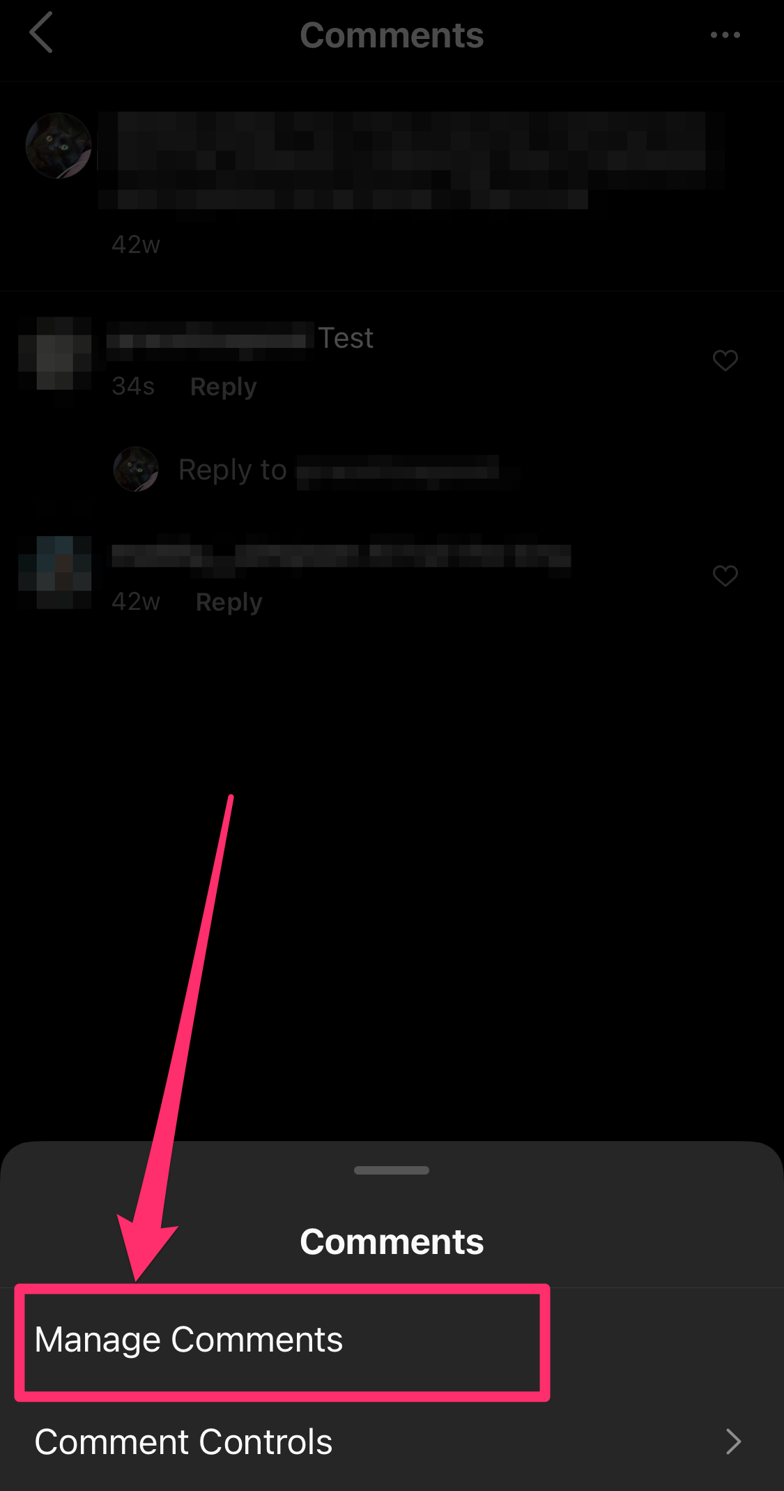 Screenshot of "Manage Comments" button on Instagram comment