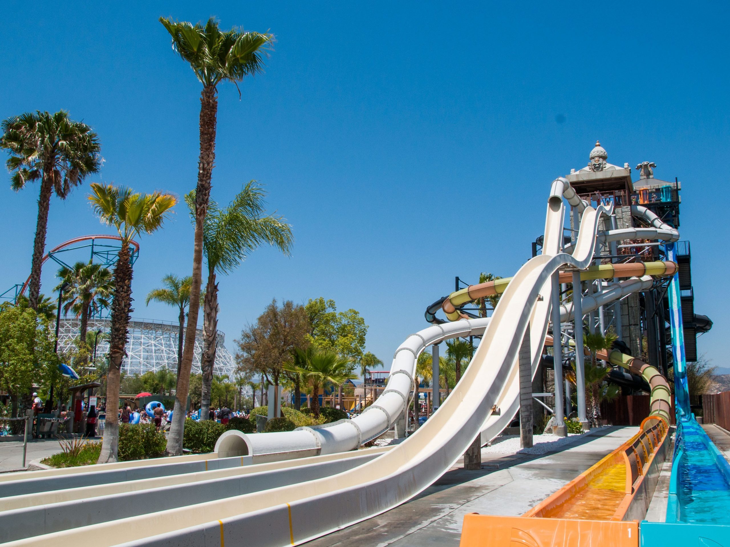 Six Flags Hurricane Harbor water slides and palm trees.