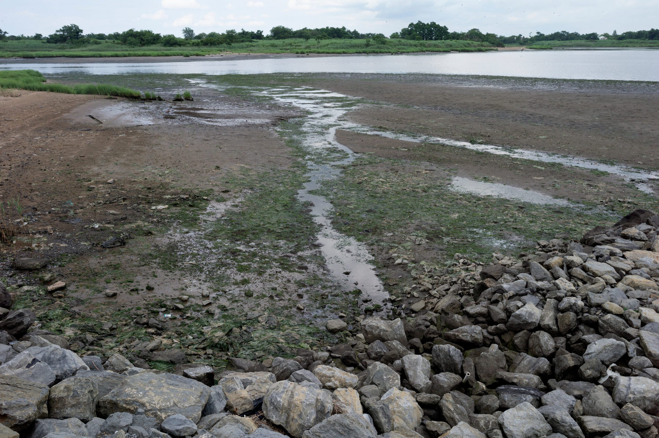 A wetlands with rocks and streams of water.