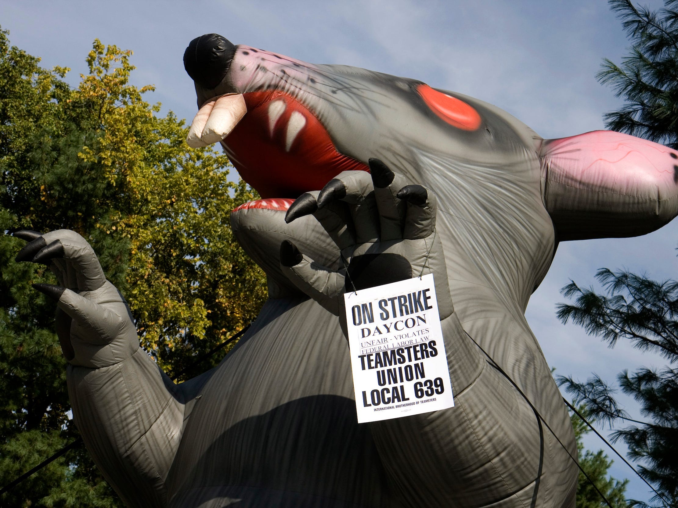 "Scabby the Rat" is a fixture at labor disputes, first deployed in 1990 by a union in Chicago.