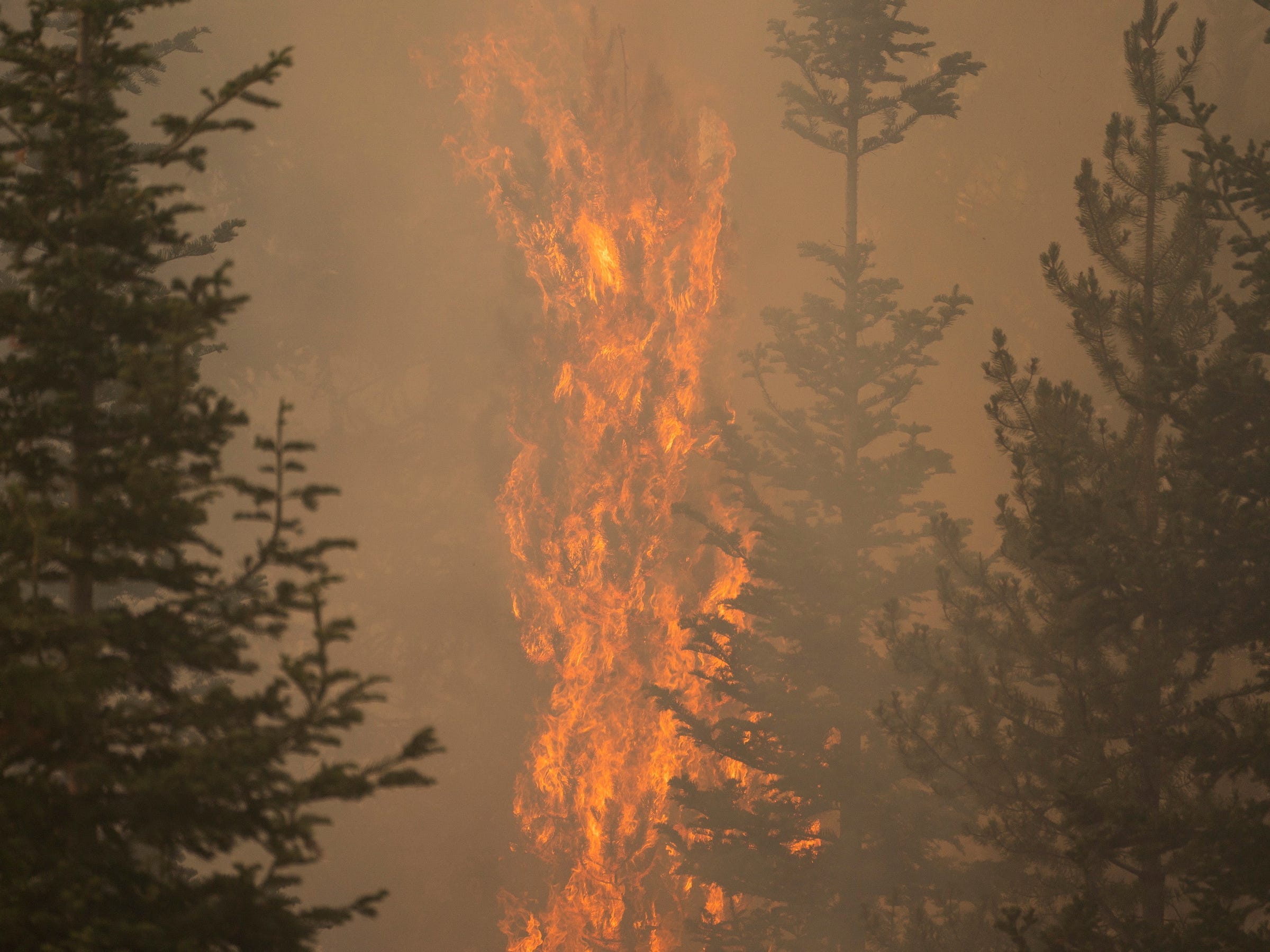 oregon bootleg fire burns trees hazy skies