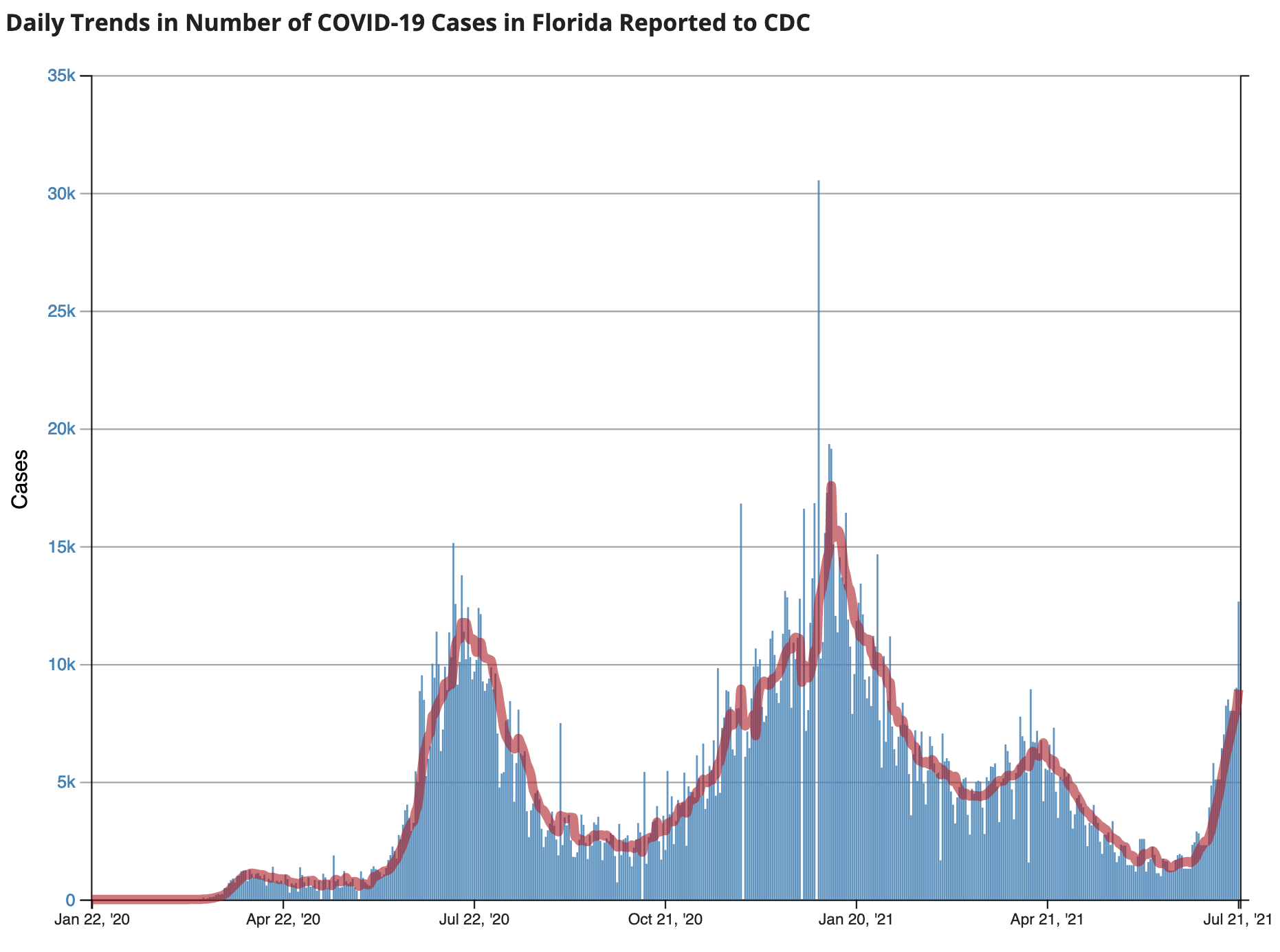 On July 21, just under 23% of all new coronavirus cases were reported in Florida