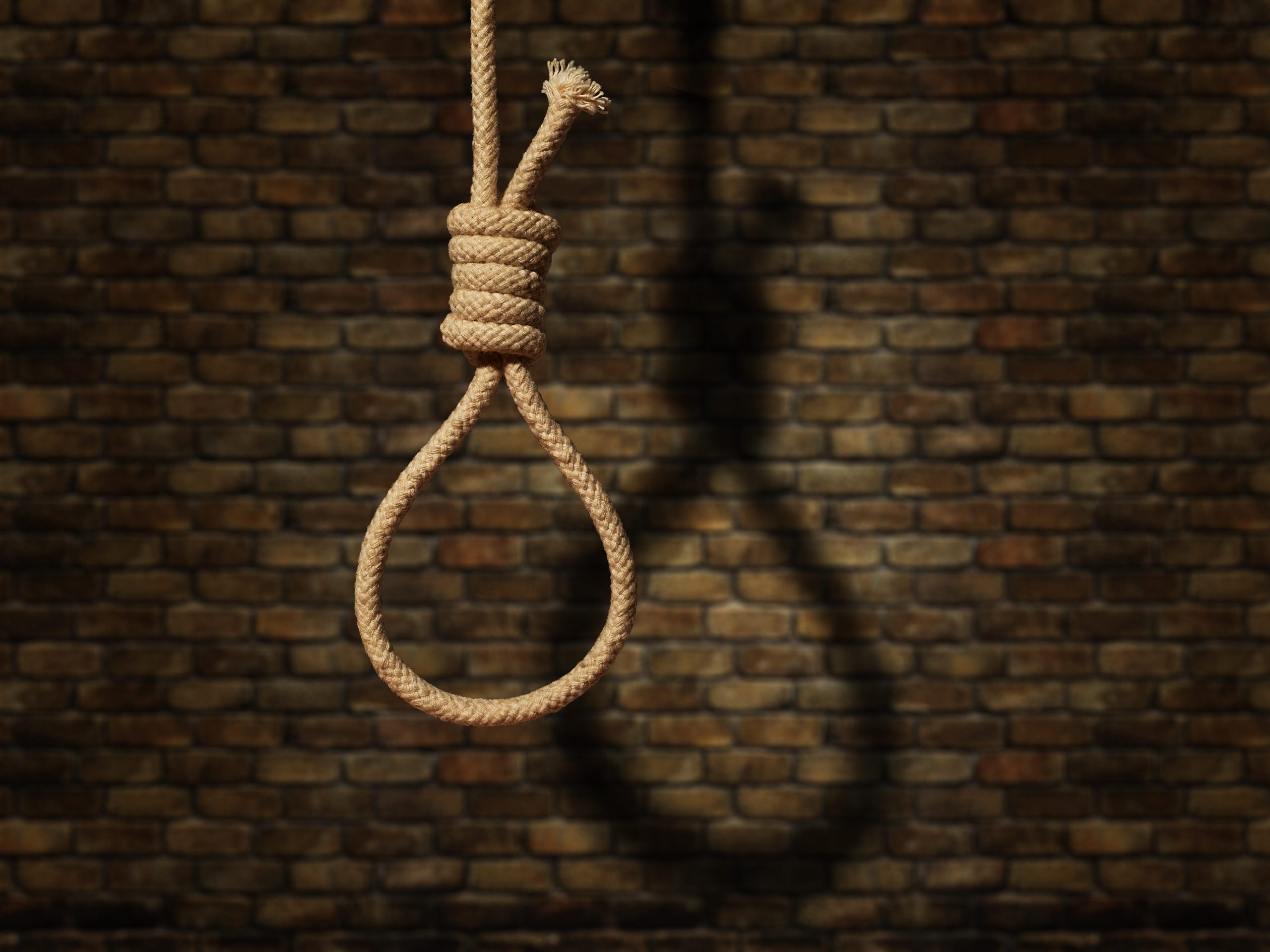 A noose hanging in front of a brick wall