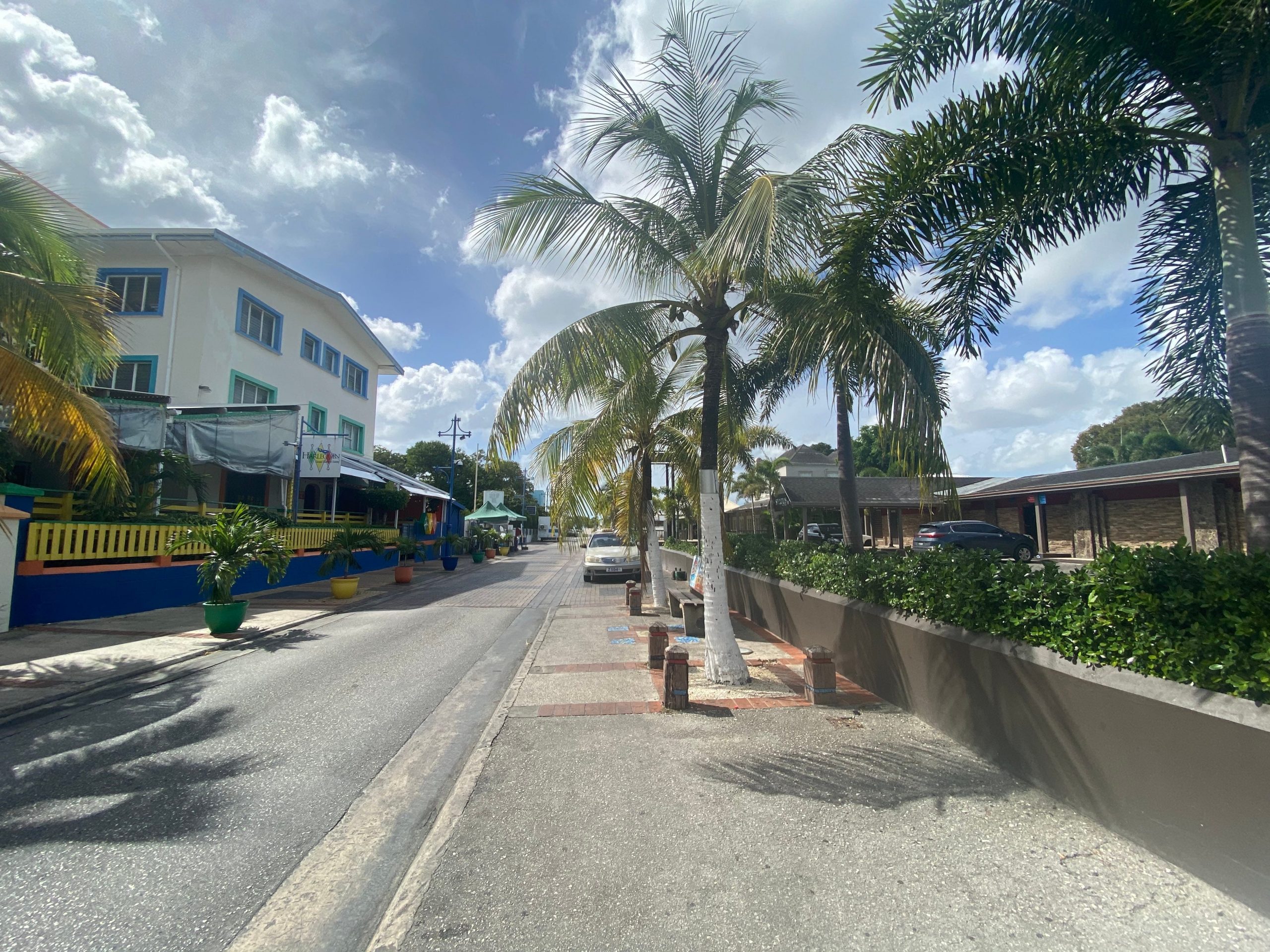 A street with a palm tree