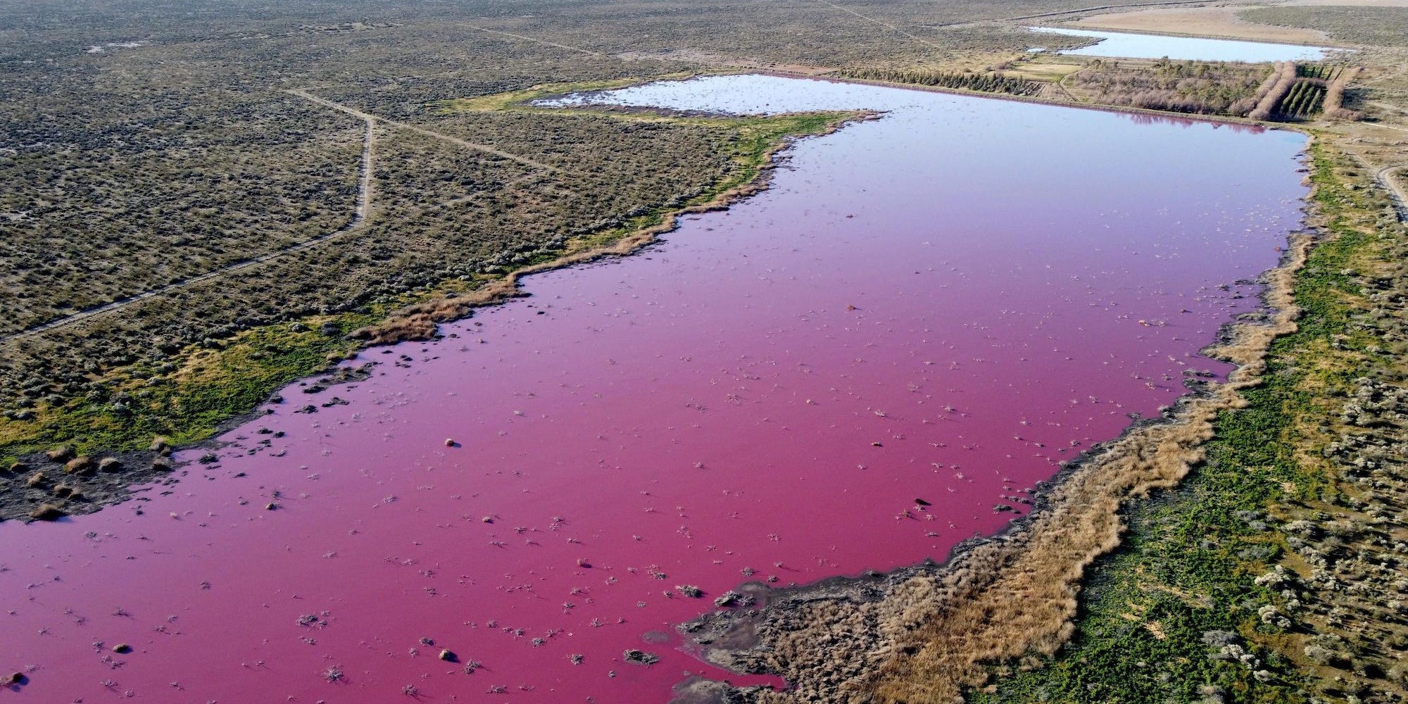 Aerial view of a lagoon that turned pink.
