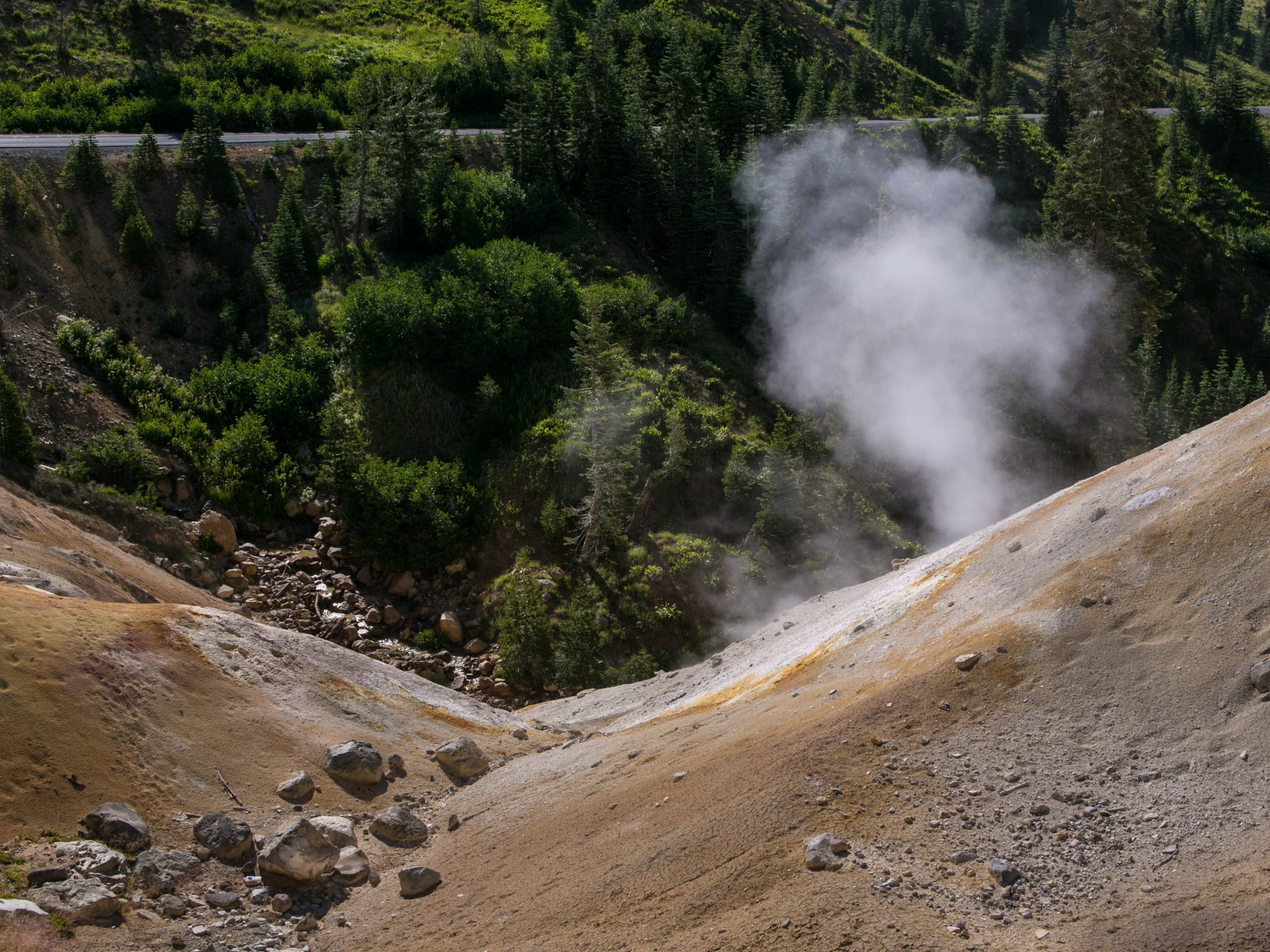 Steam and sulphur rise from a bubbling mudpot on the slopes of Mt. Lassen with trees in the background.