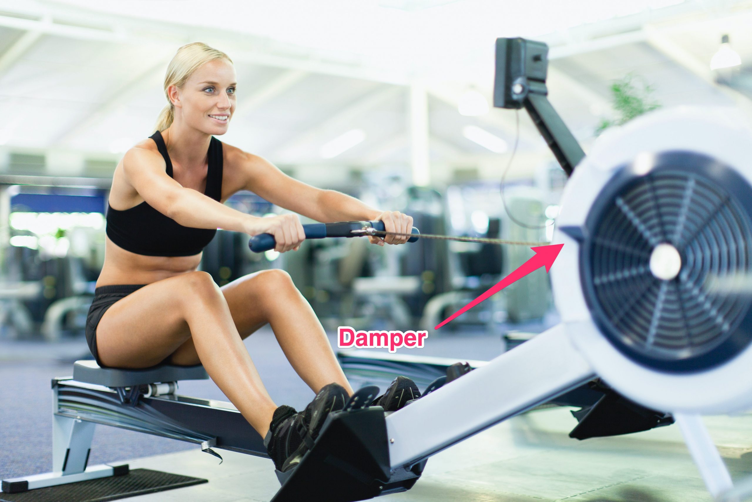 rowing machine damper