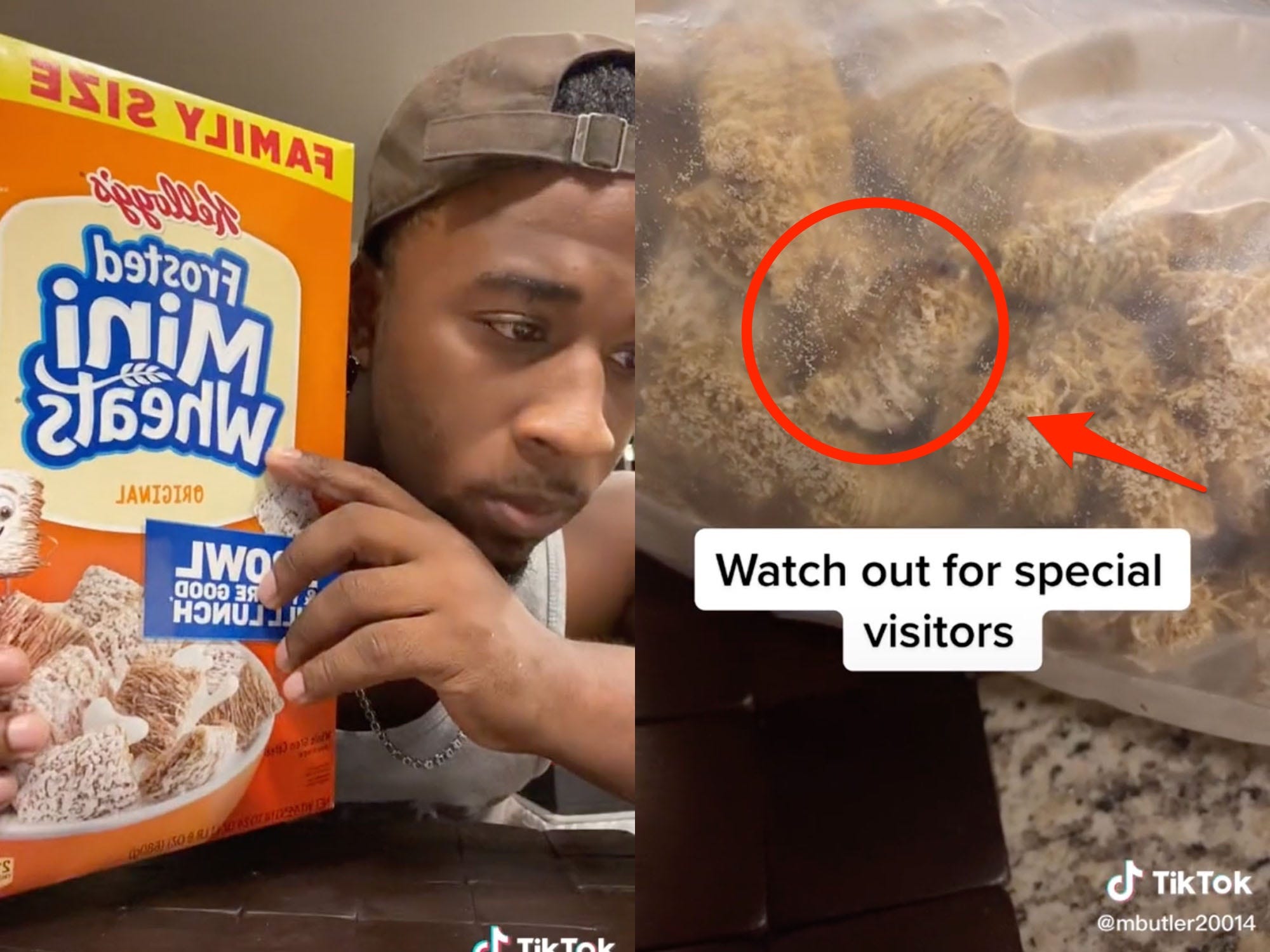 worms found in cereal