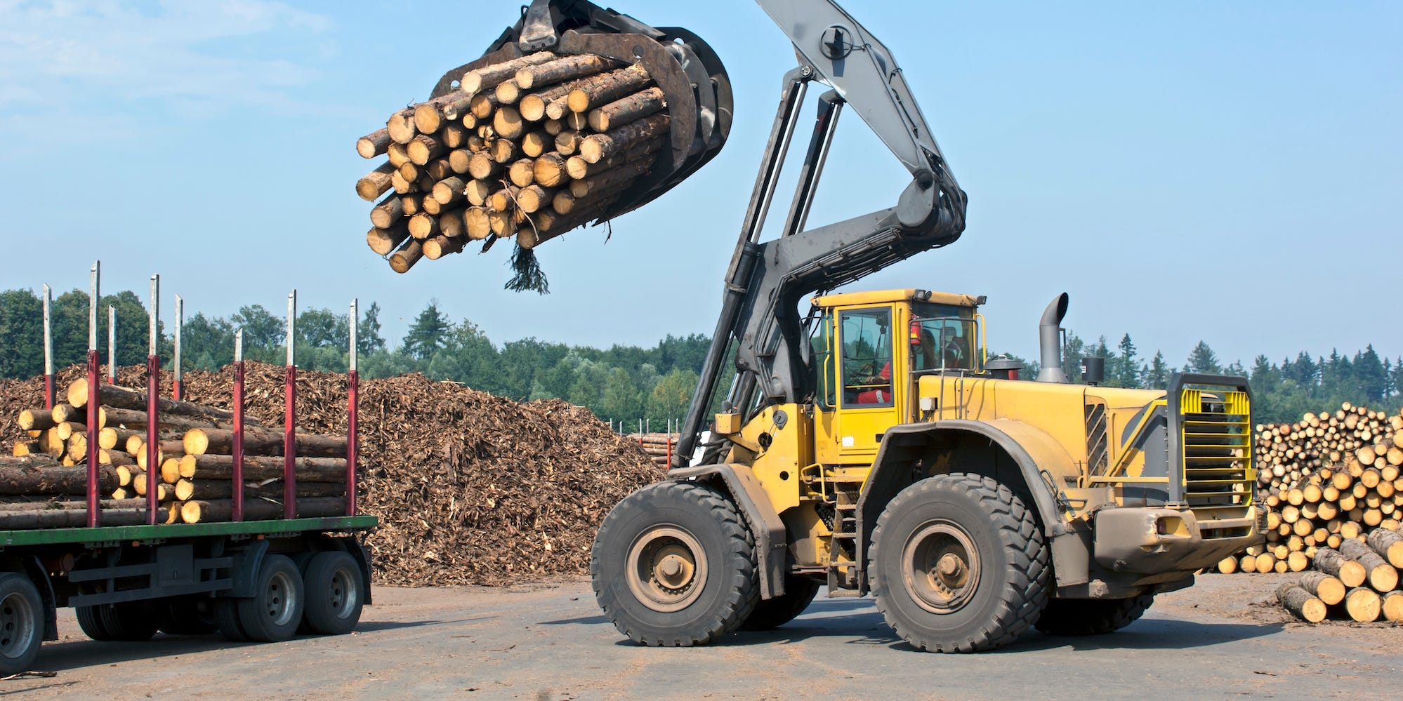 Worker loading lumber