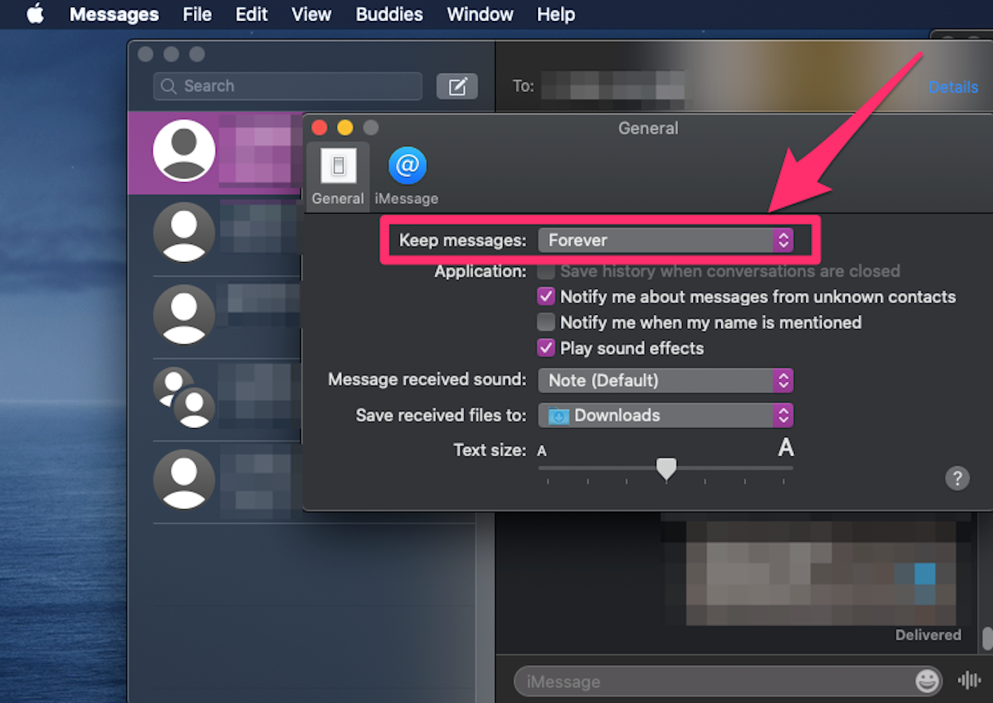 Screenshot of General tab on Messages Preferences window