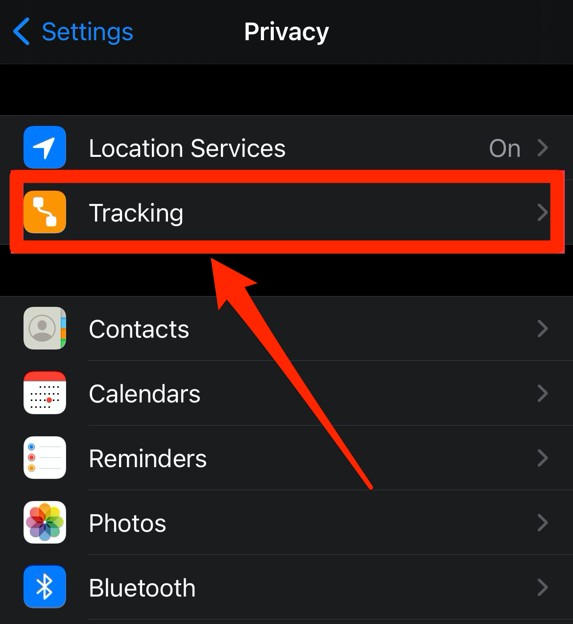 Screenshot of Privacy page on iPhone Settings app