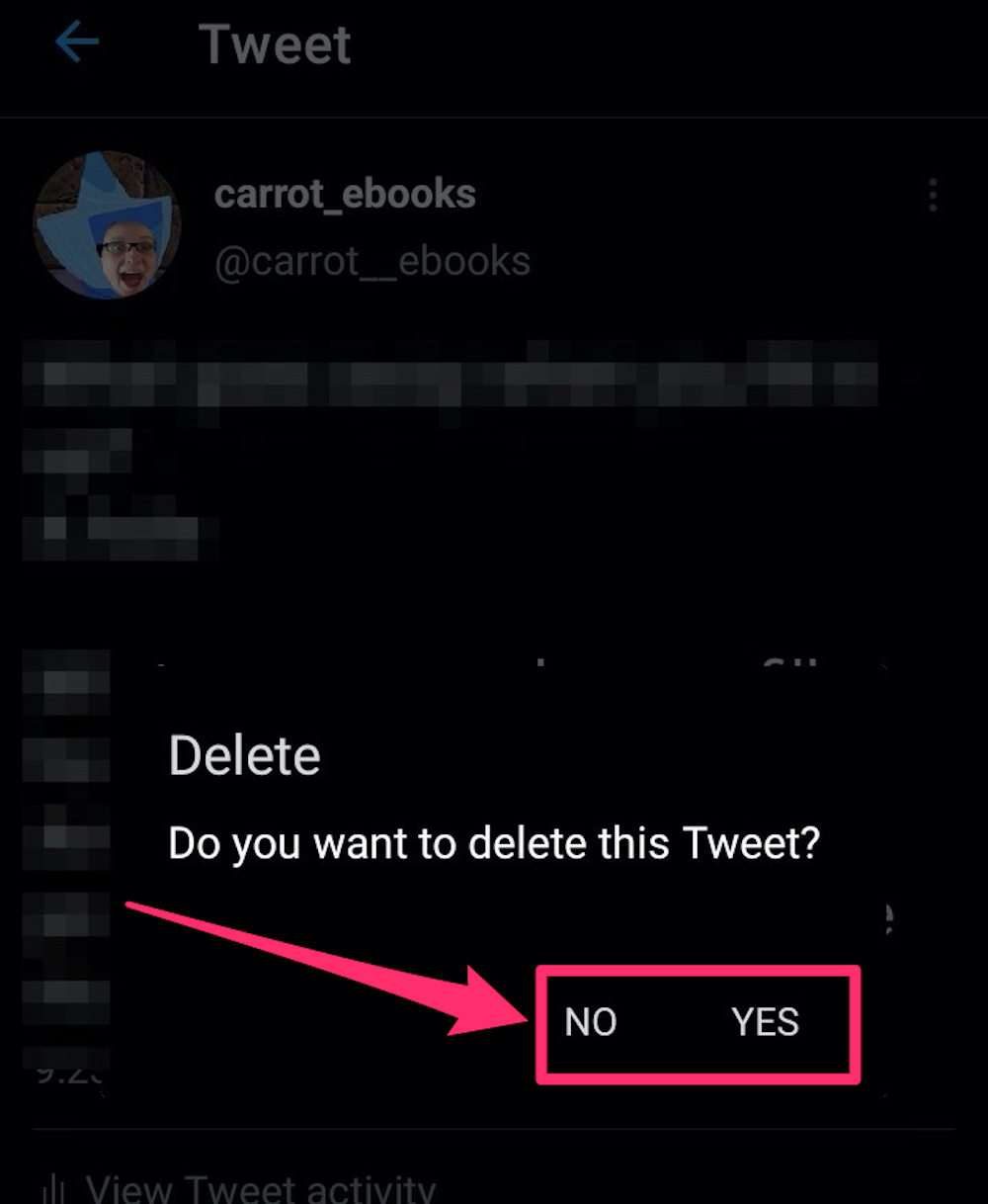 Screenshot of "Delete Tweet" confirmation screen on Twitter app