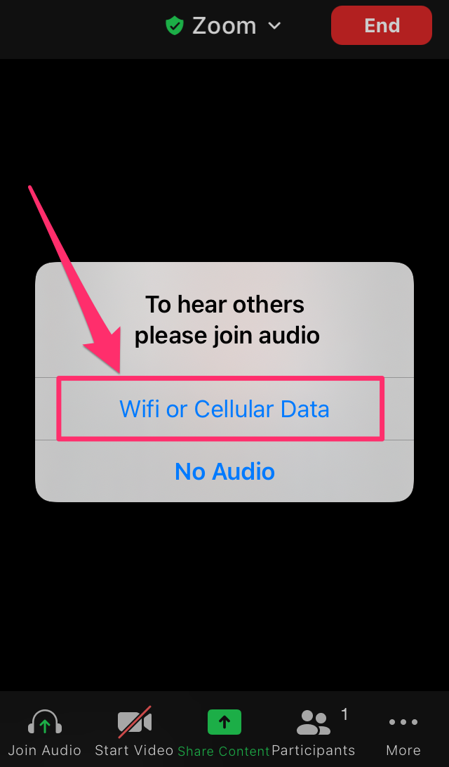 Screenshot of Zoom app join audio pop-up