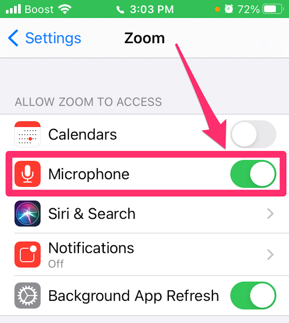 Screenshot of Zoom page in iPhone Settings app