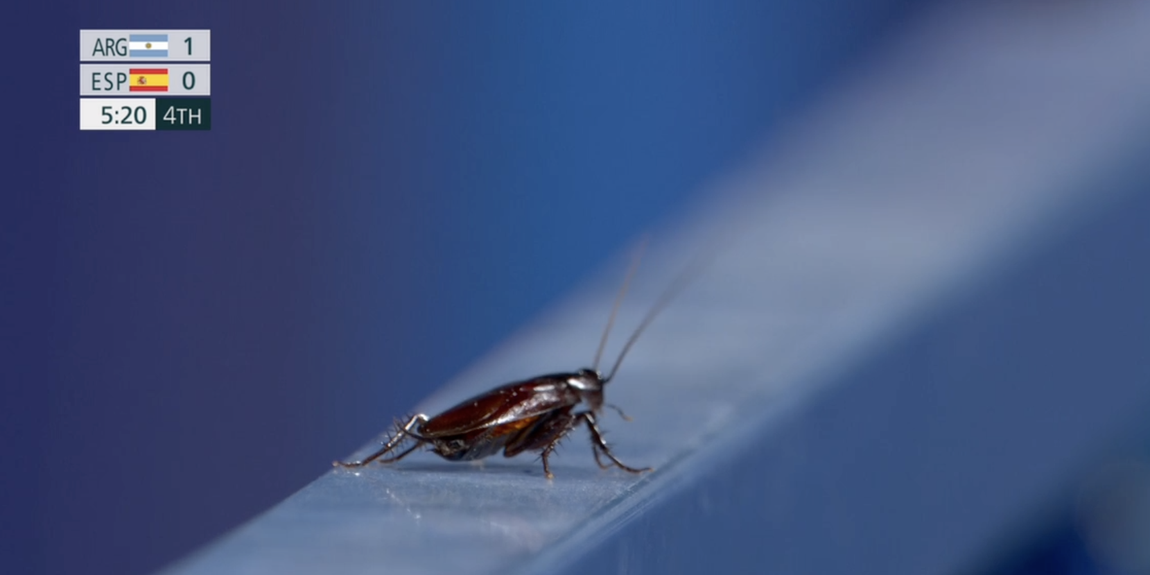 A cockroach is shown during an 2020 Tokyo Olympic broadcast