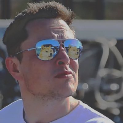 Elon Musks nieuwe profielfoto op Twitter. Foto:Elon Musk/twitter.com