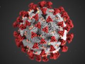 Coronavirus