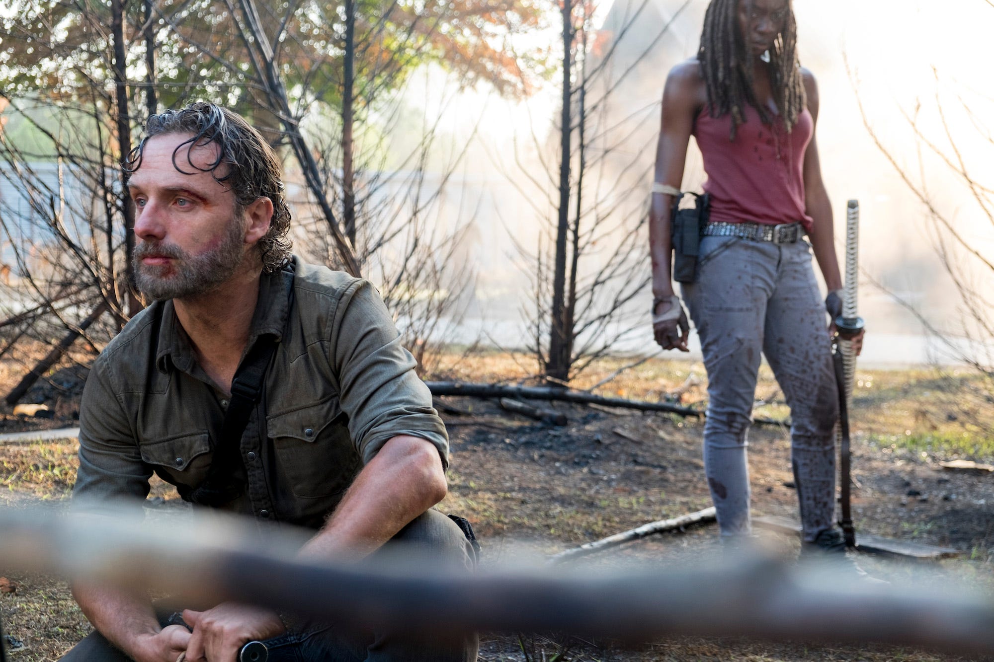 walking dead rick michonne carl grave