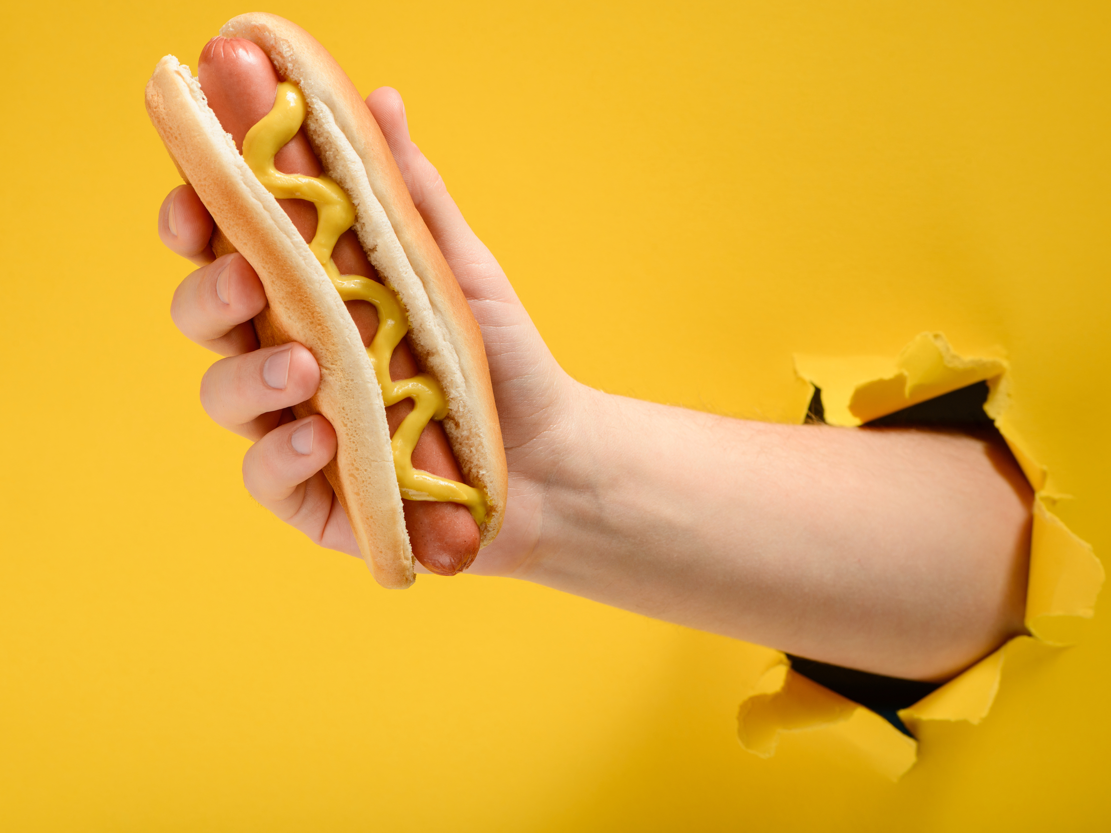 hot dog