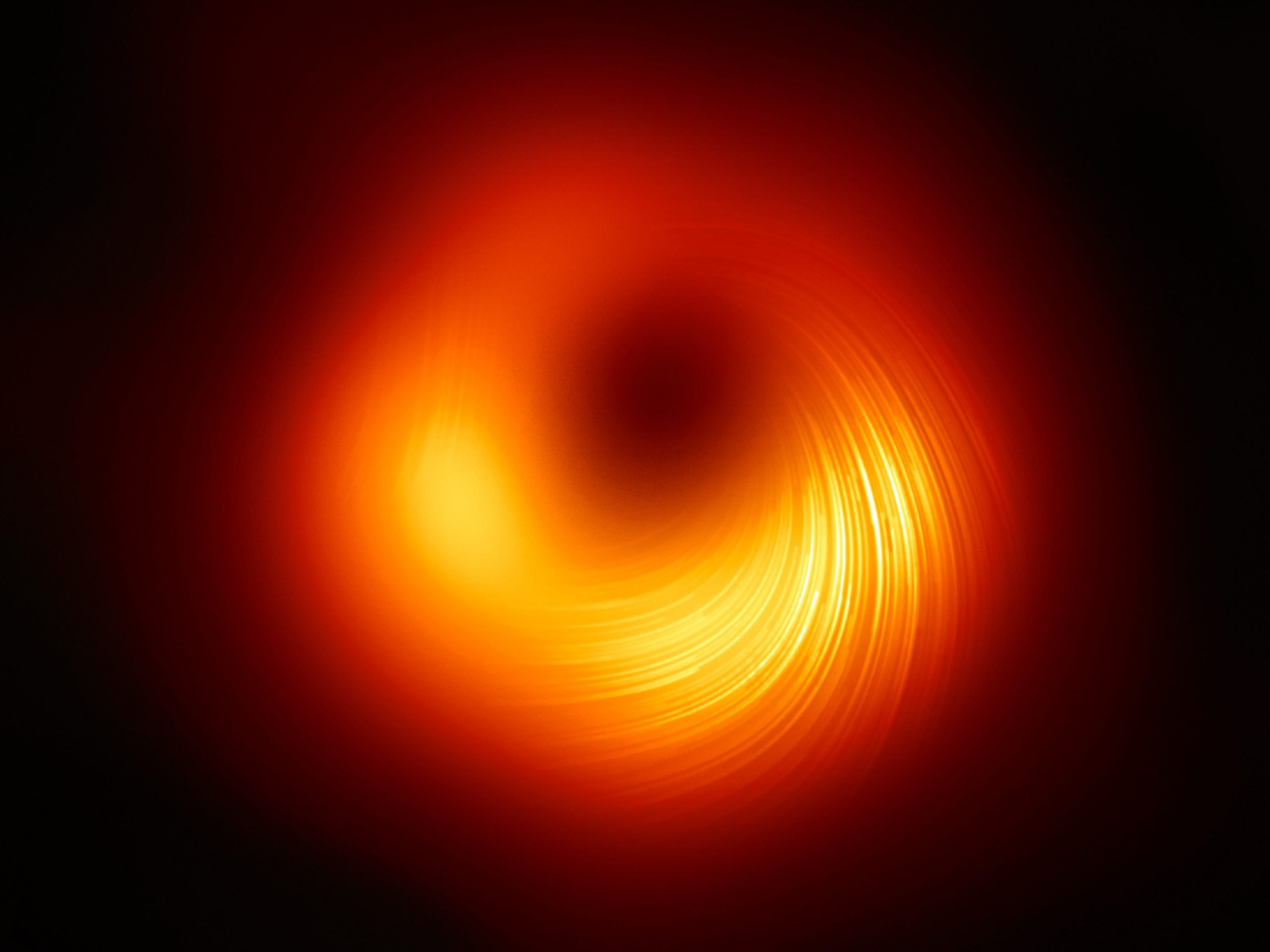 EHT black hole magnetic fields
