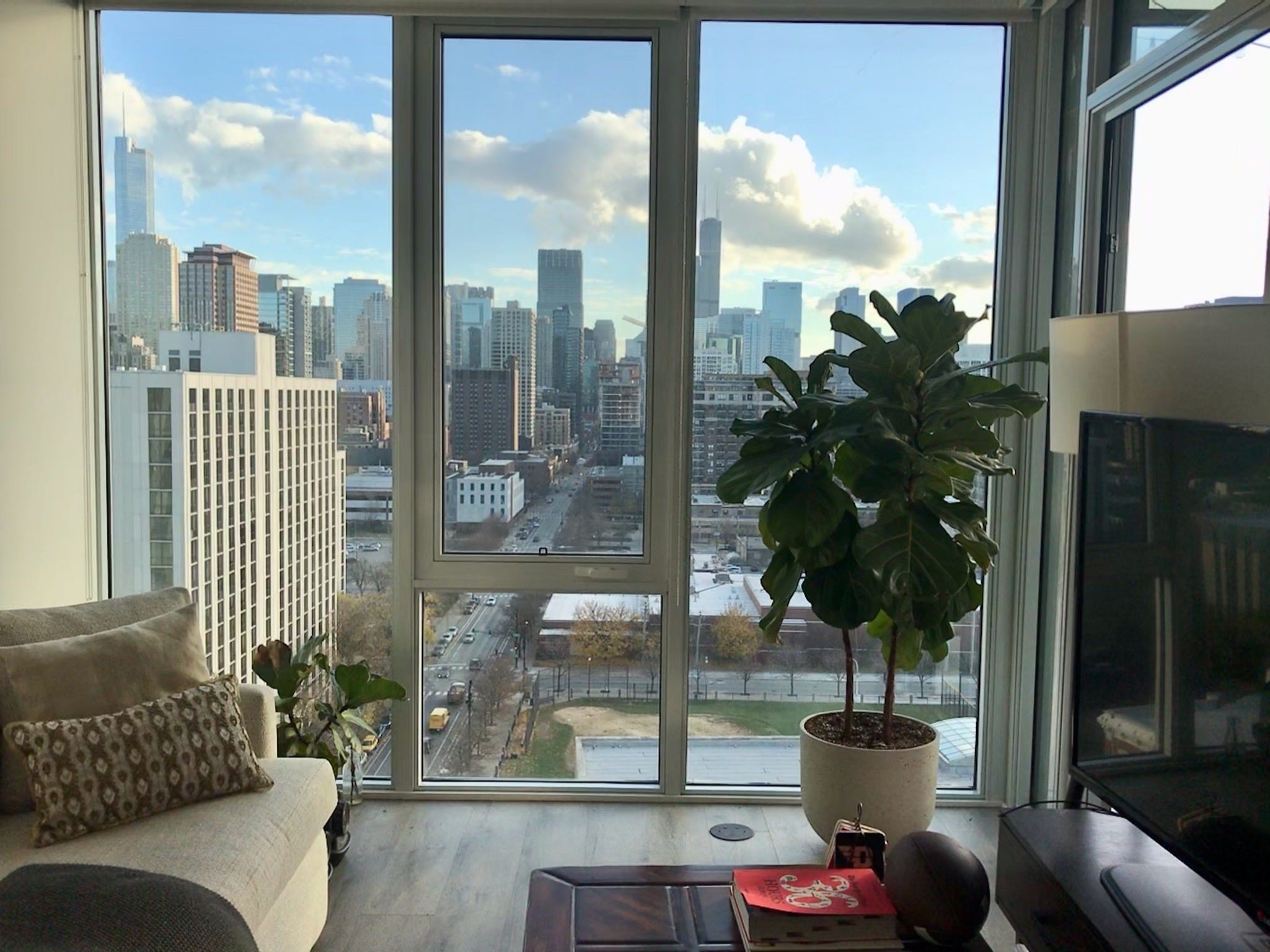 The writer's plant next to floor-to-ceiling windows.