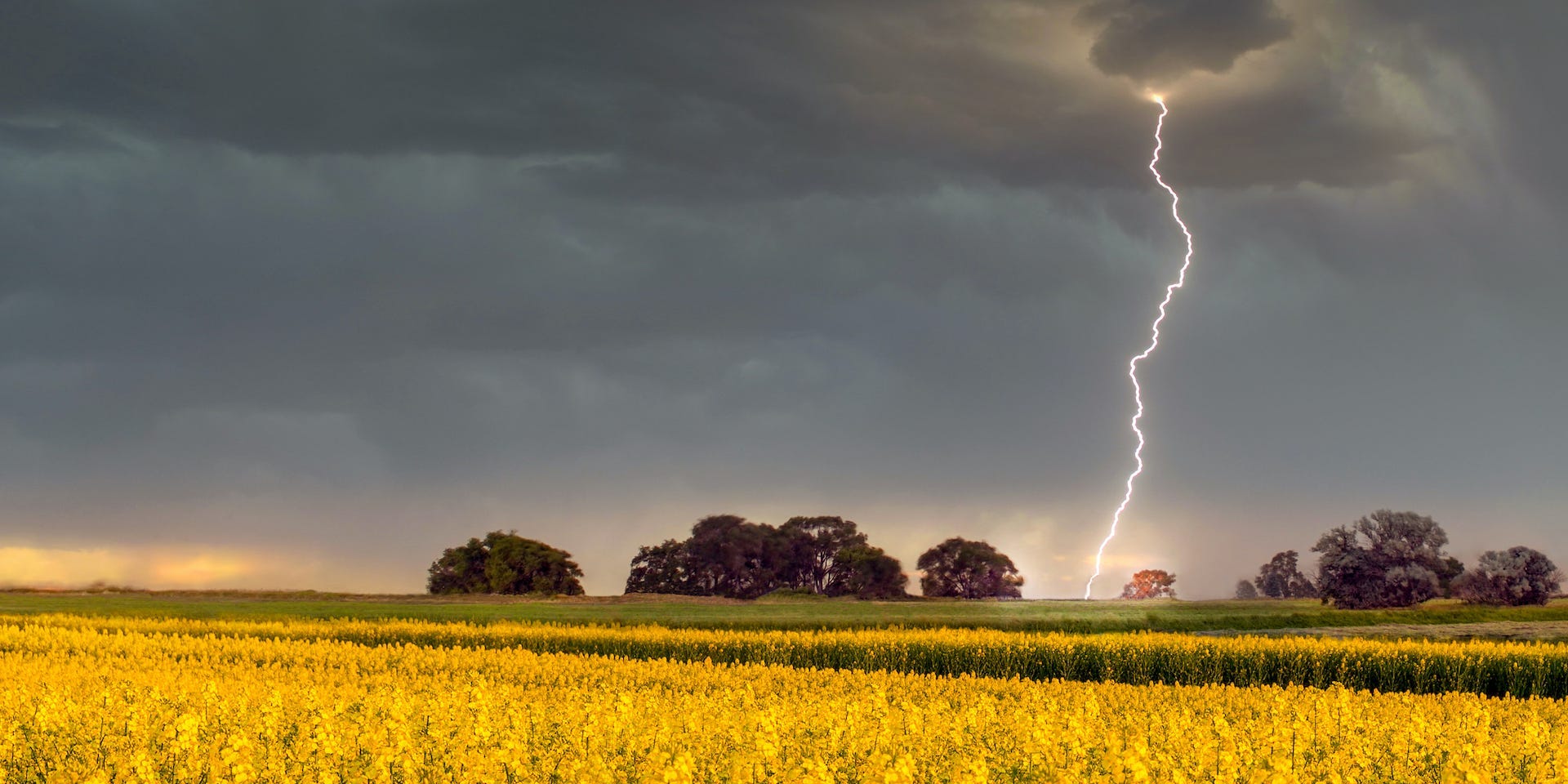 Lightning striking field
