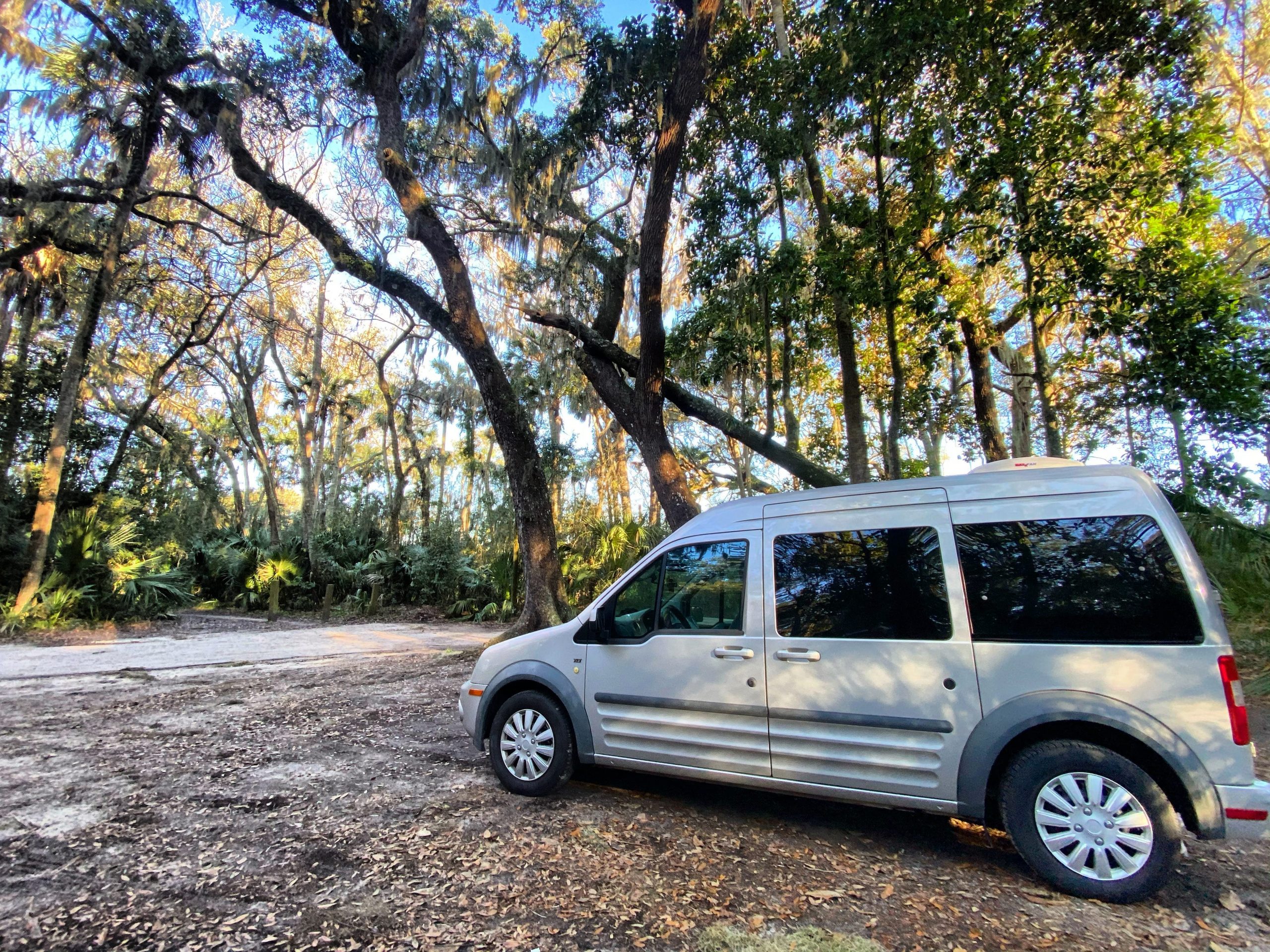 abbey's van sitting in a tree-filled forest over gravel road