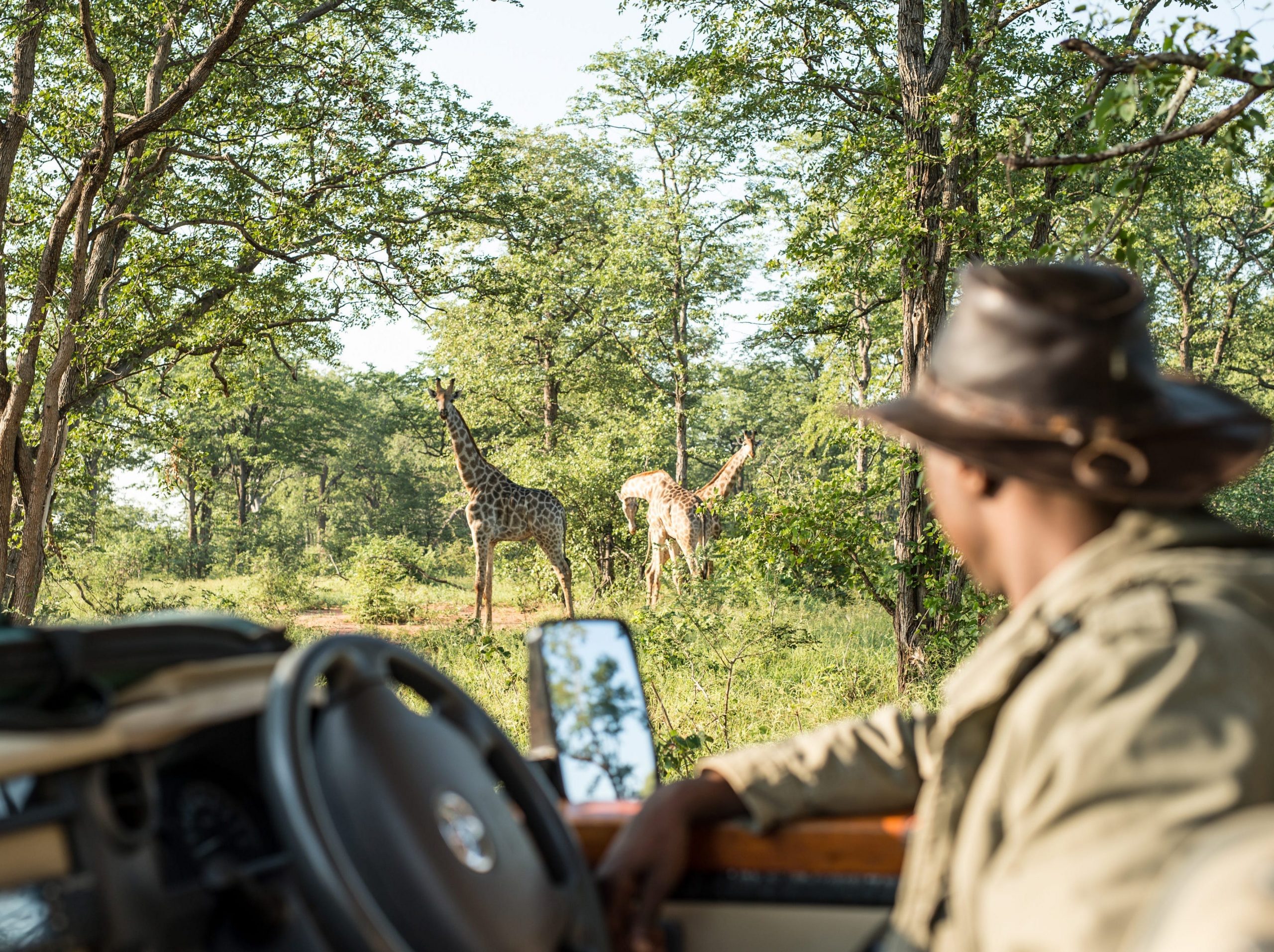 Safaris are popular with Servius's guests. Credit Singita/Embark Beyond