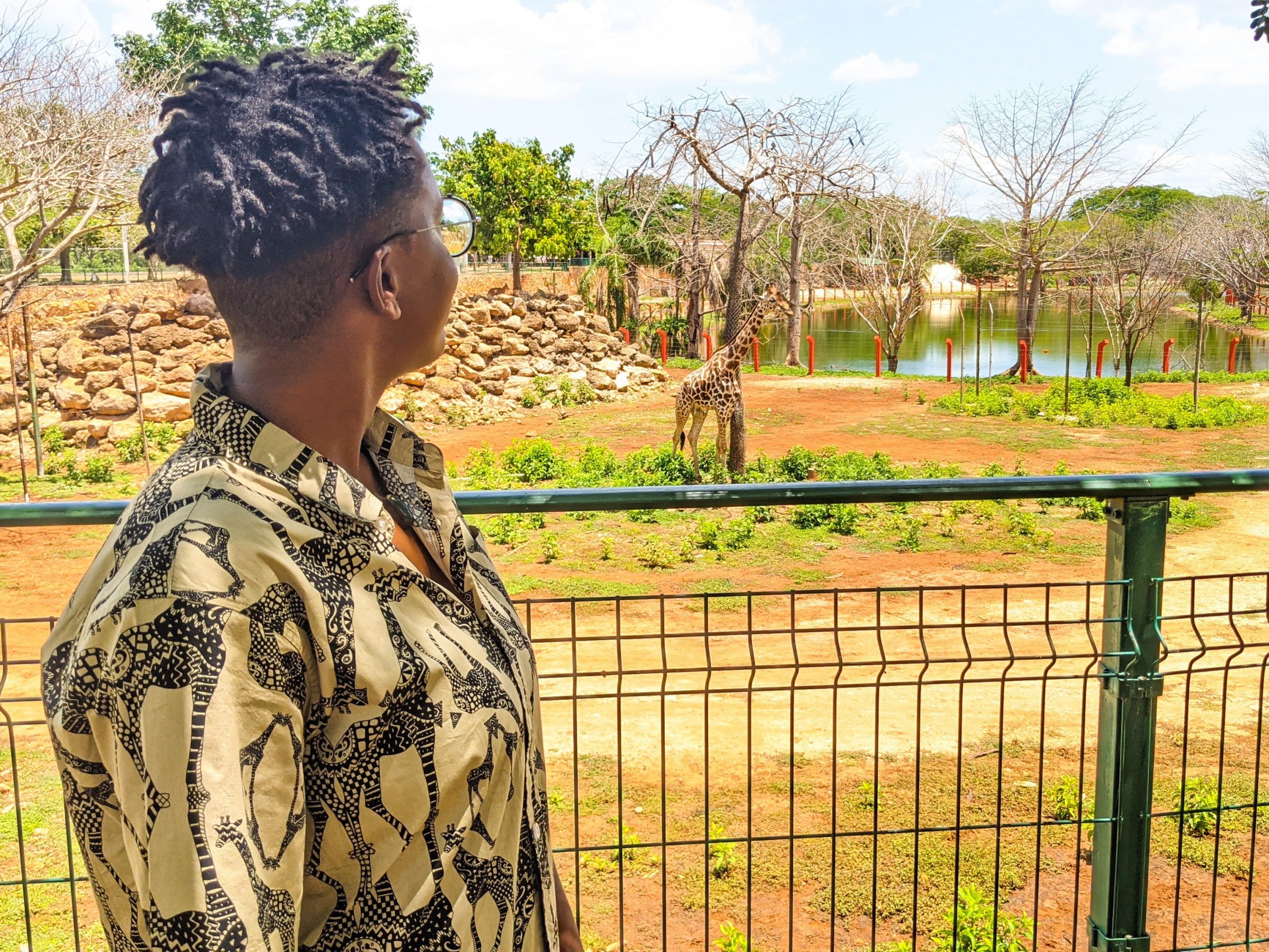A woman looking at giraffes in an enclosureAmber Blackmon for Insider