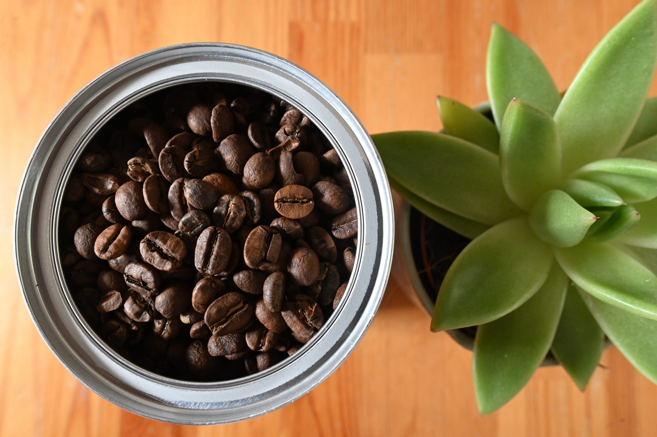 A can of Grind coffee beans seen from above next to a green plant