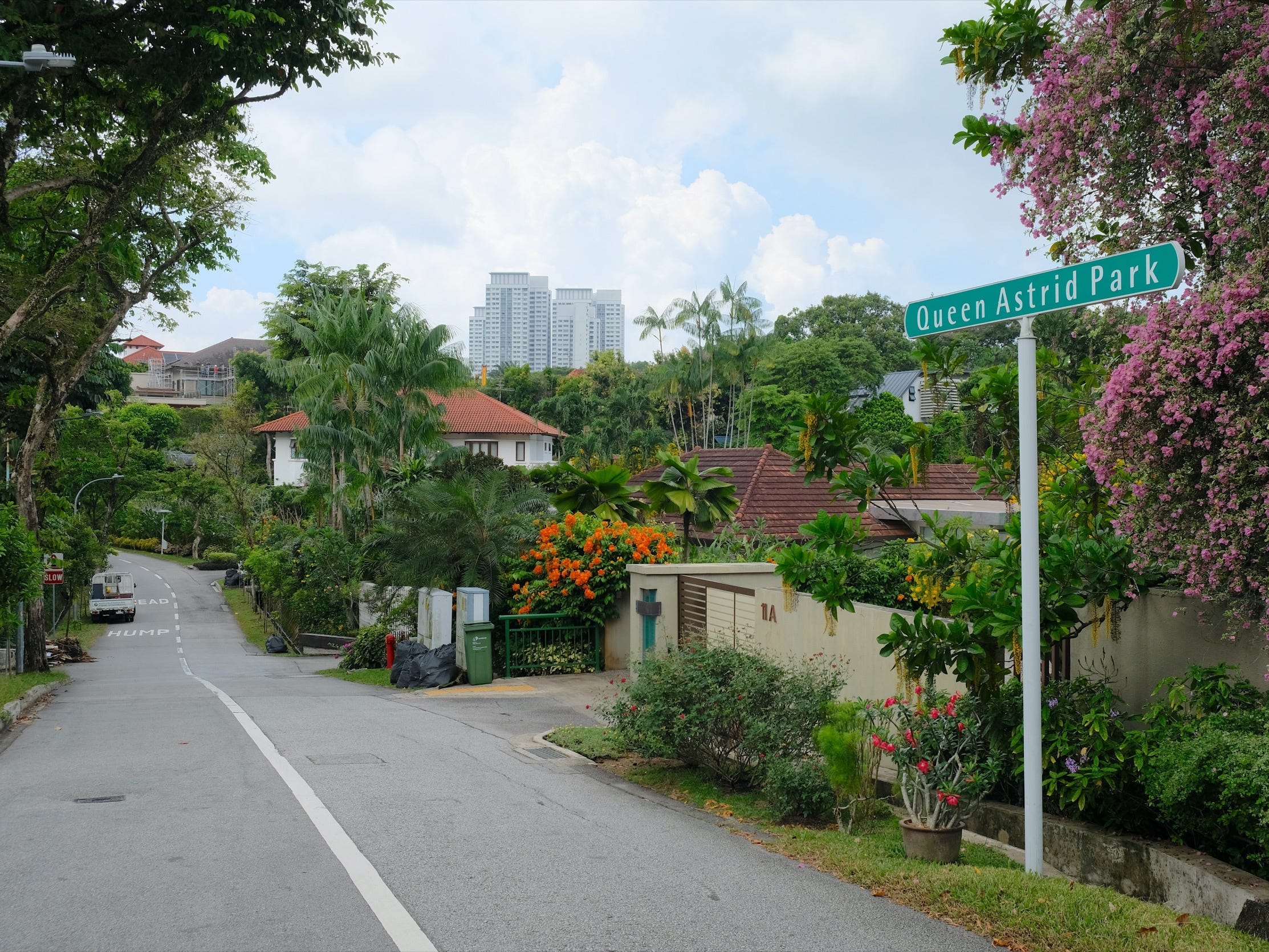 a view of houses and trees at queen astrid park, an upscale street in singapore