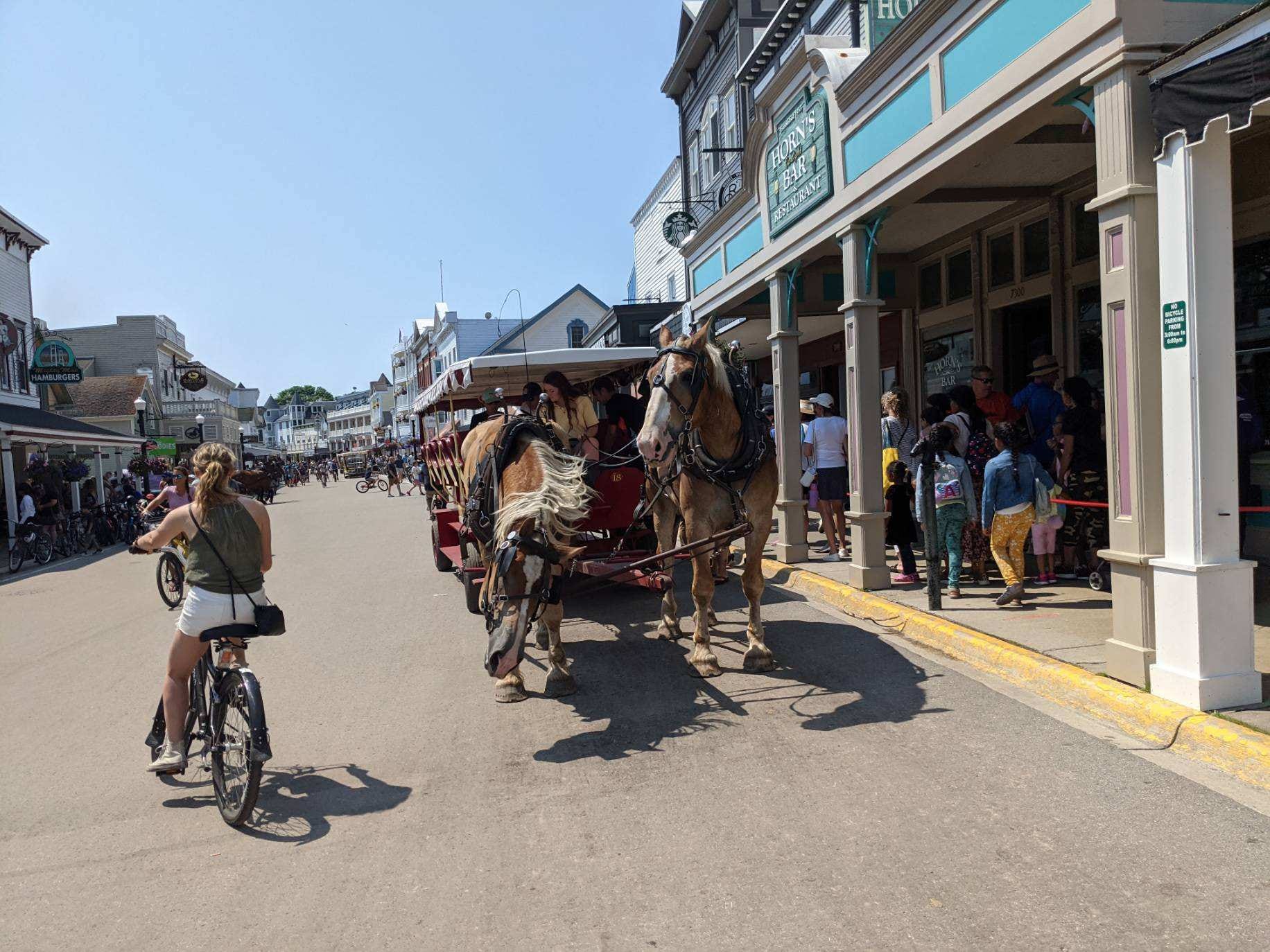 A group of tourists on a horse and carriage