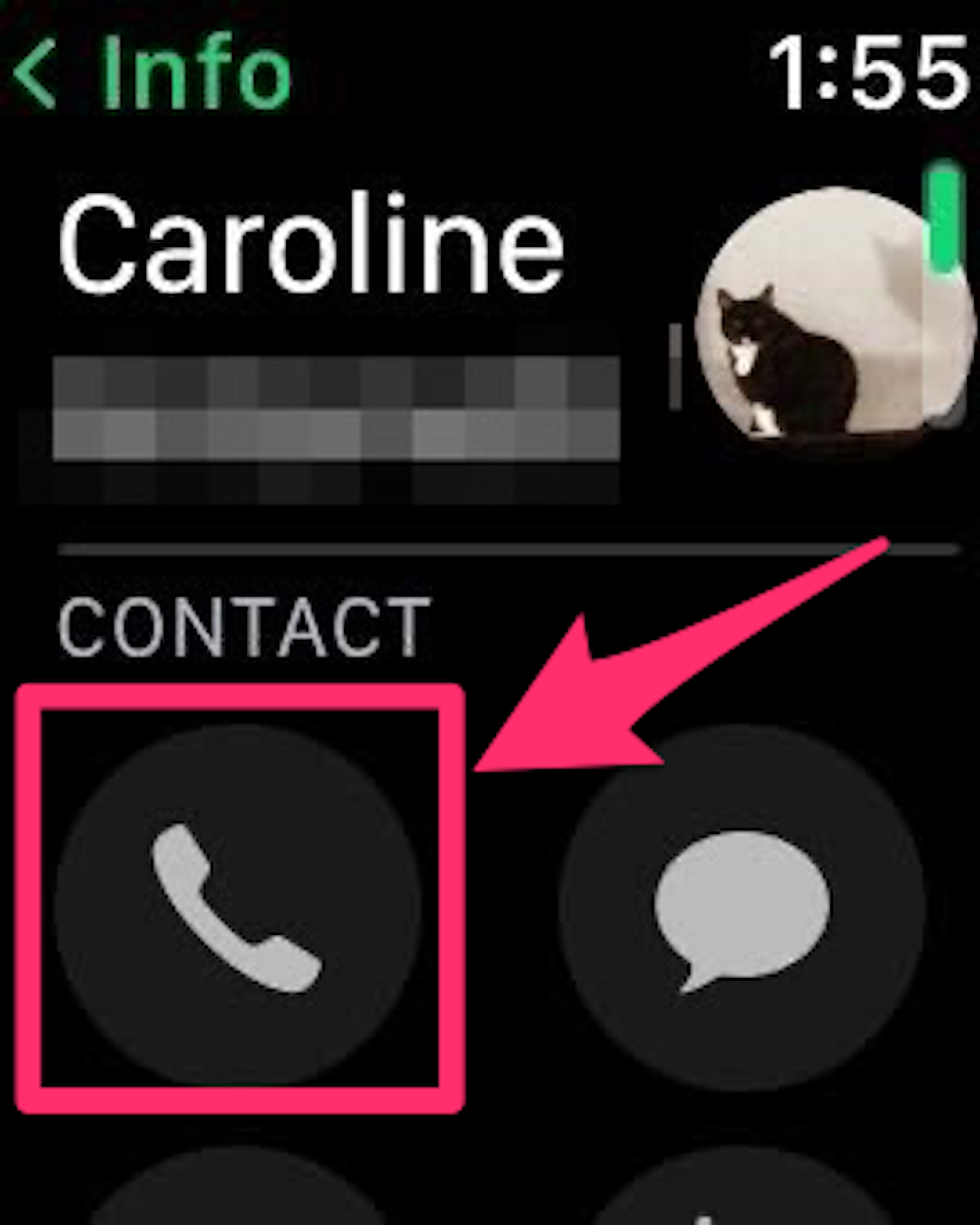 Screenshot of Apple Watch contact page