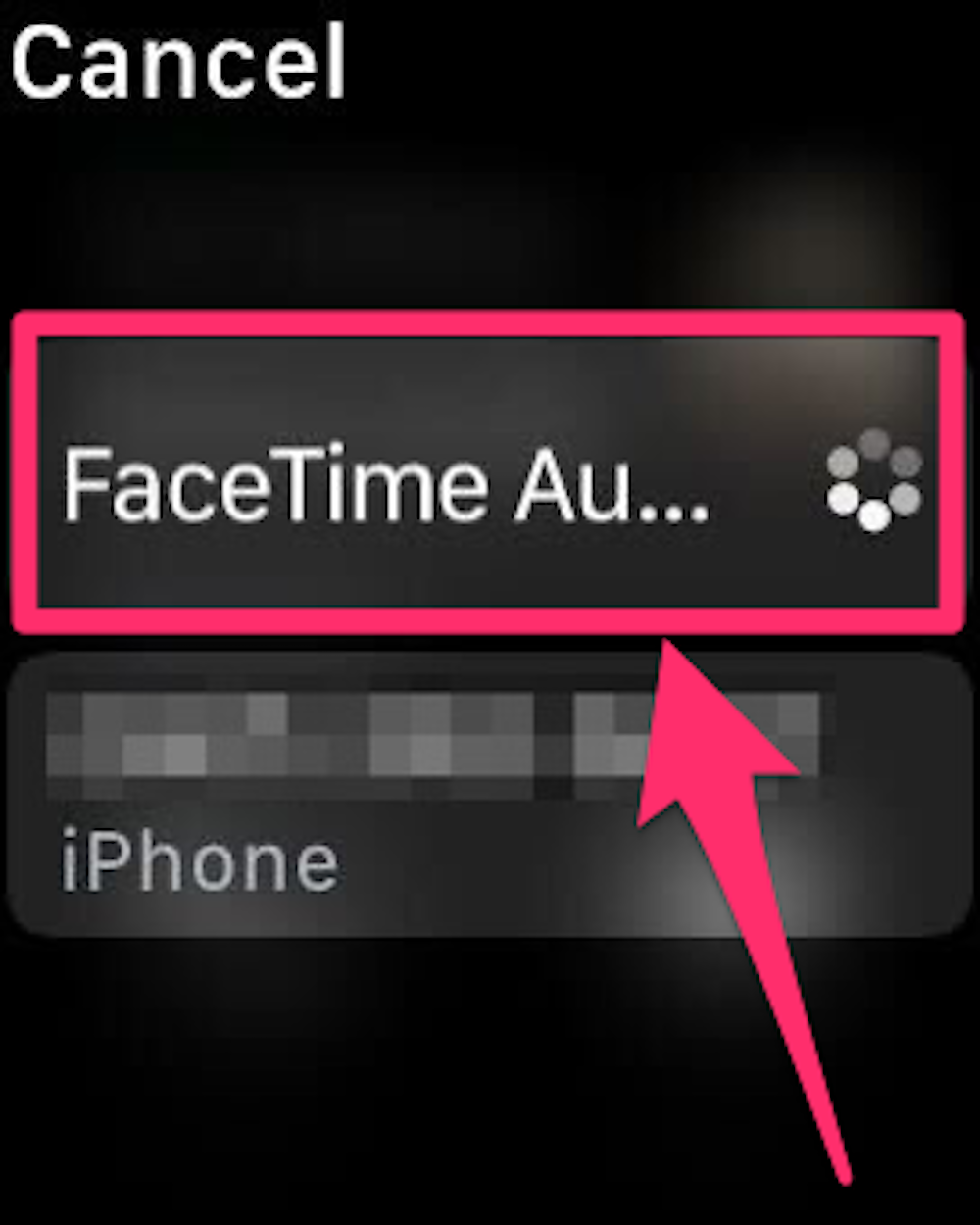 Screenshot of FaceTime Audio button on Apple Watch
