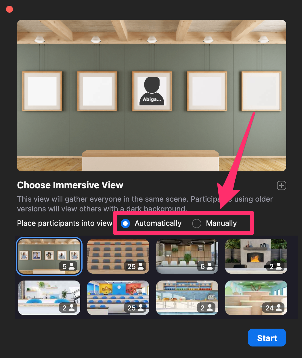 Screenshot of Zoom Immersive view page to select automatic or manual adding of participants