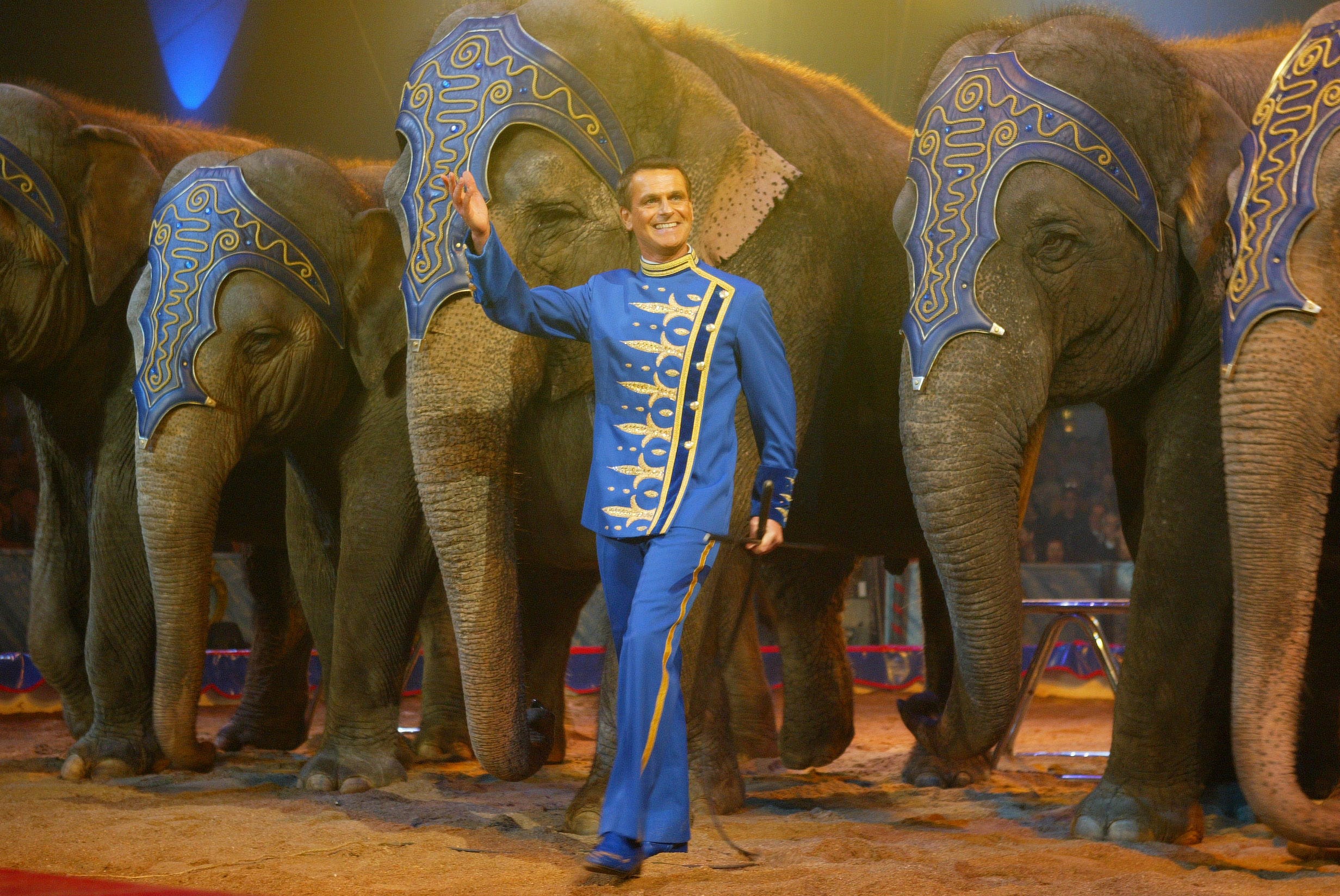 Franco Knie, a Swiss circus ringmaster, pictured in costume in front of performing elephants.