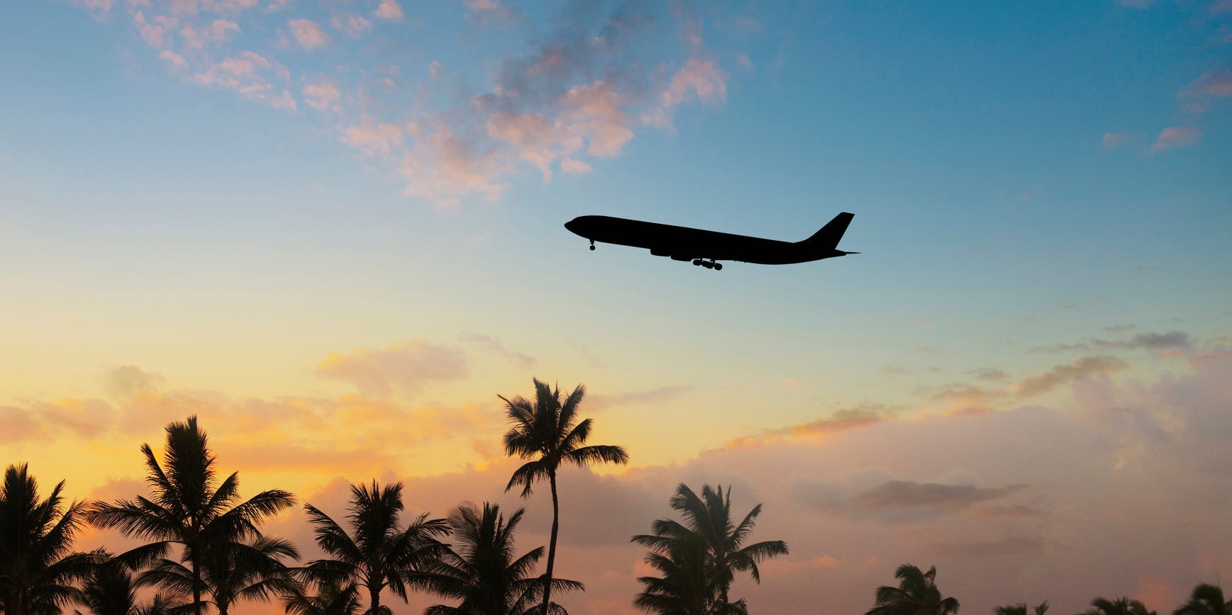 Plane flying over palm trees at sunset