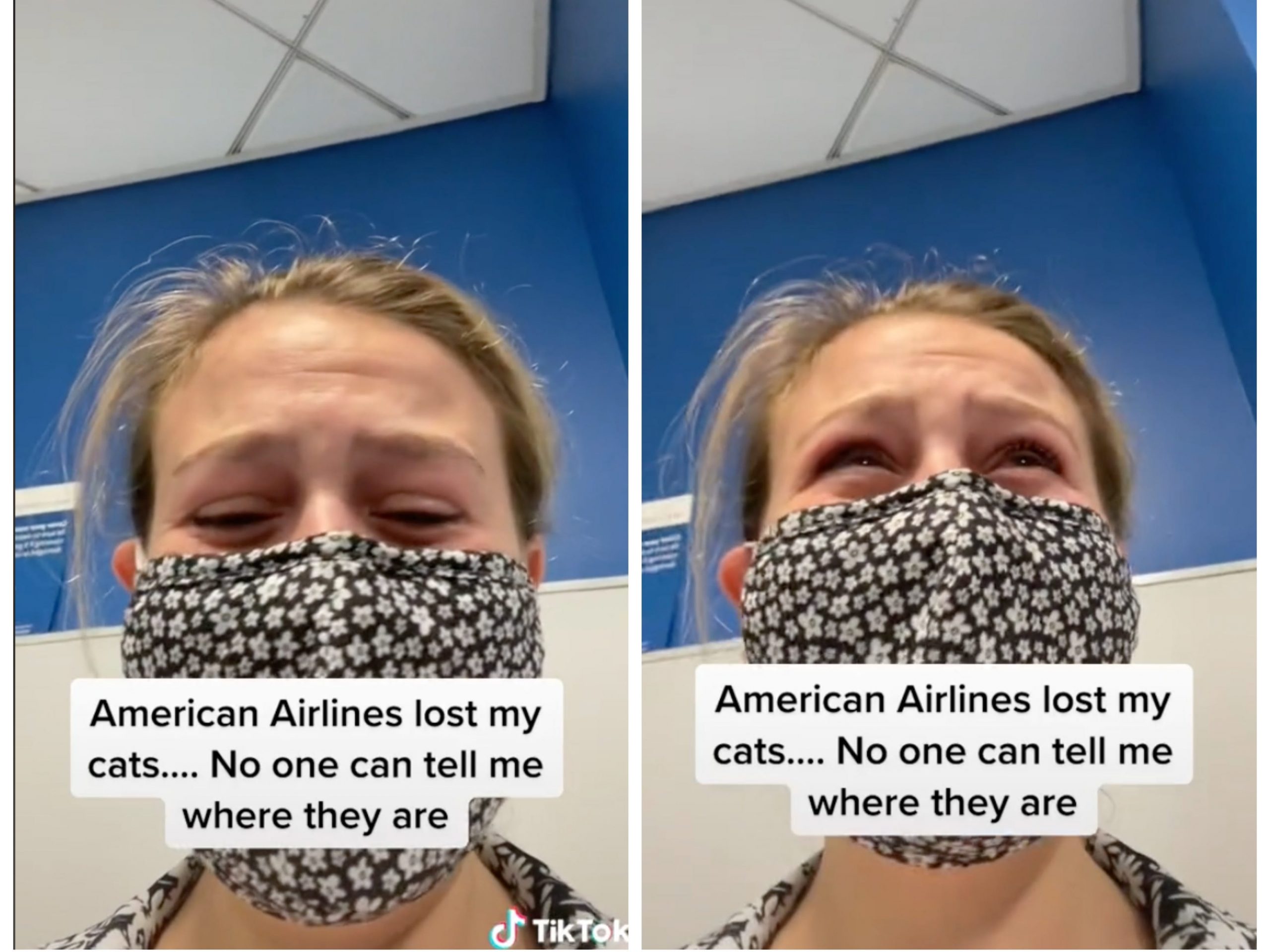 Preview of Ariel Dale, a woman who said American Airlines lost her two cats on a flight from Los Angeles to New York City.
