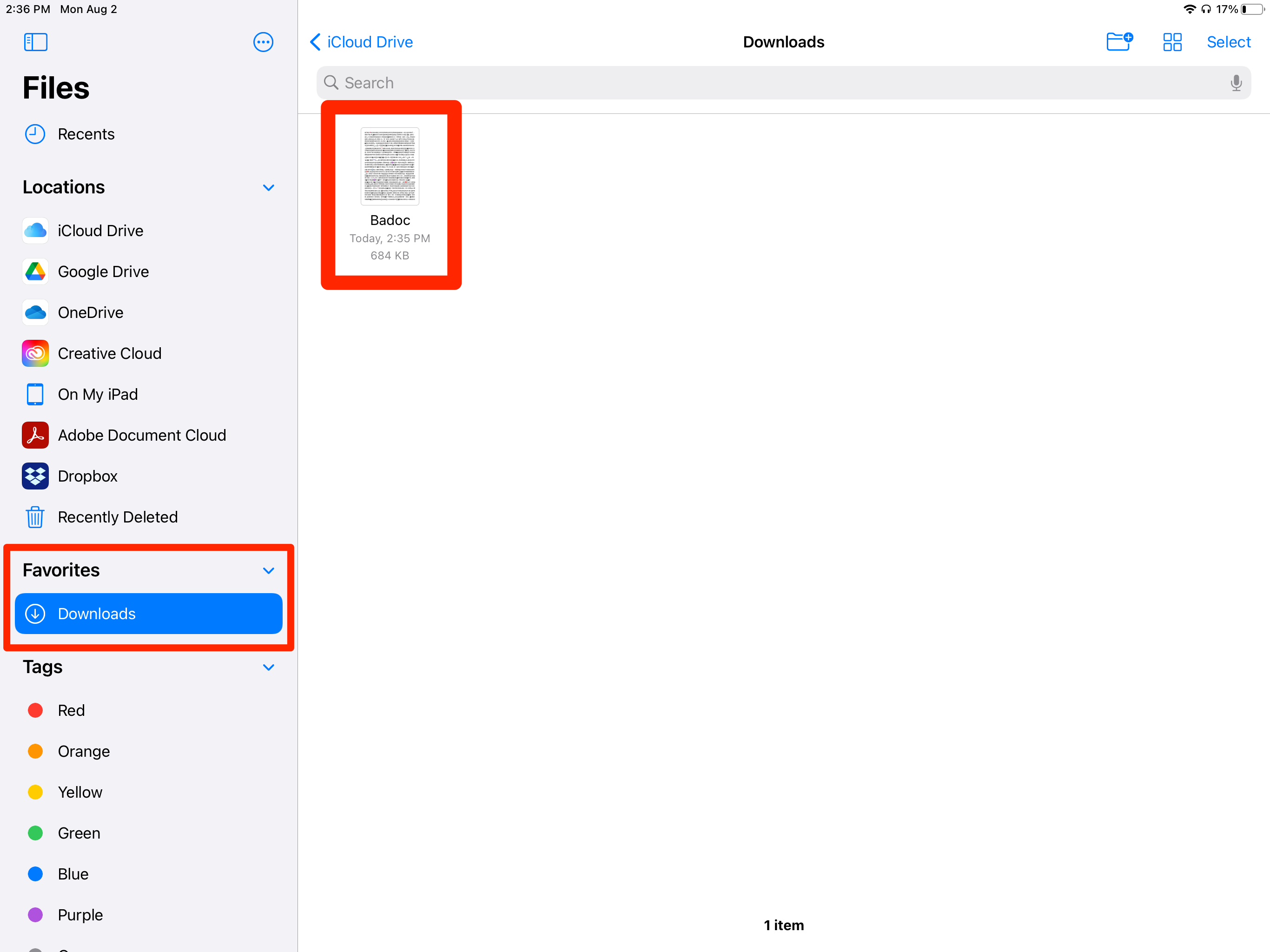 The Files app on an iPad, with the "Downloads" option highlighted.