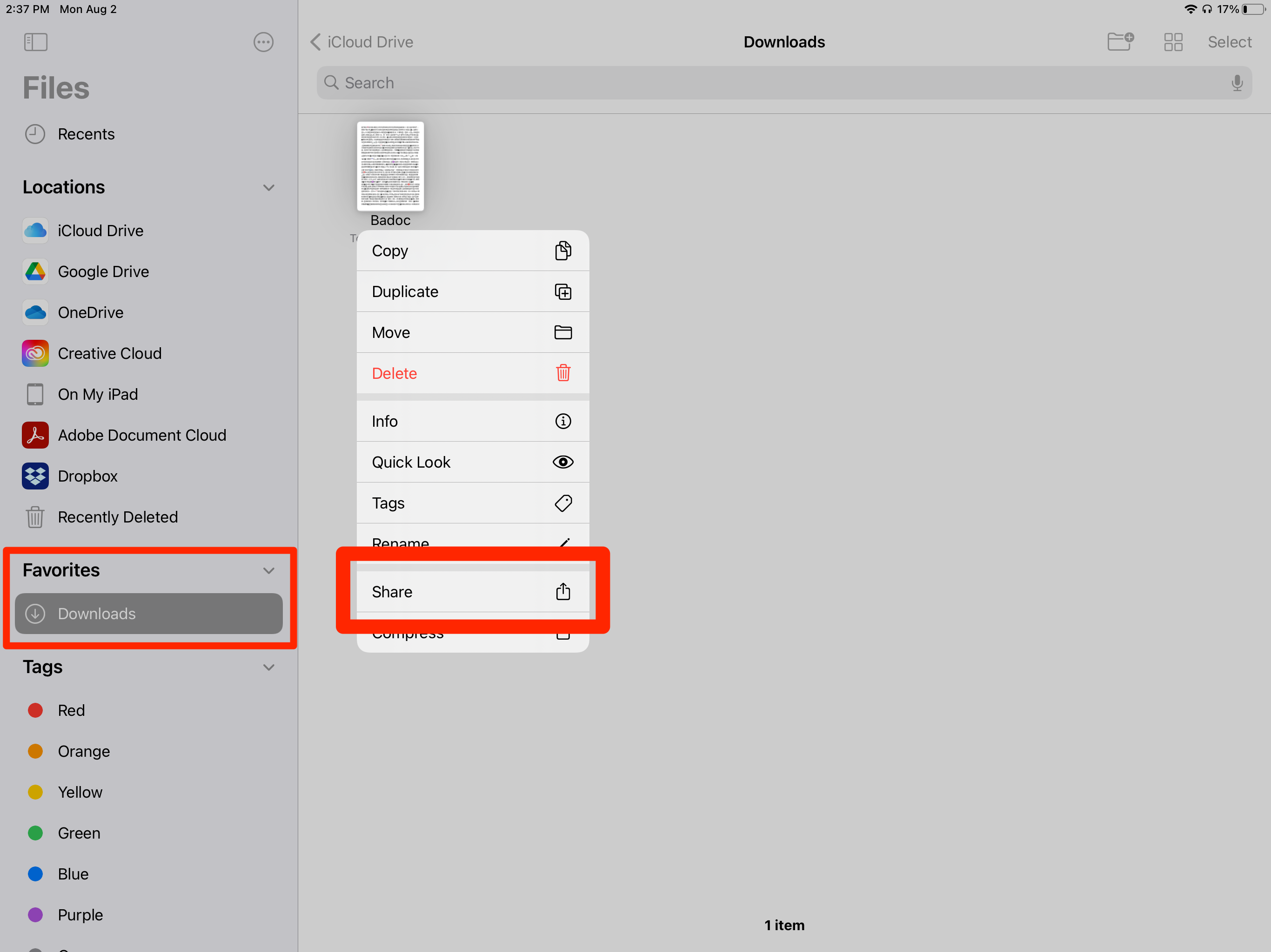 A file in the iPad Files app that's been selected, and is now displaying a menu. The "Share" option in this menu is highlighted.