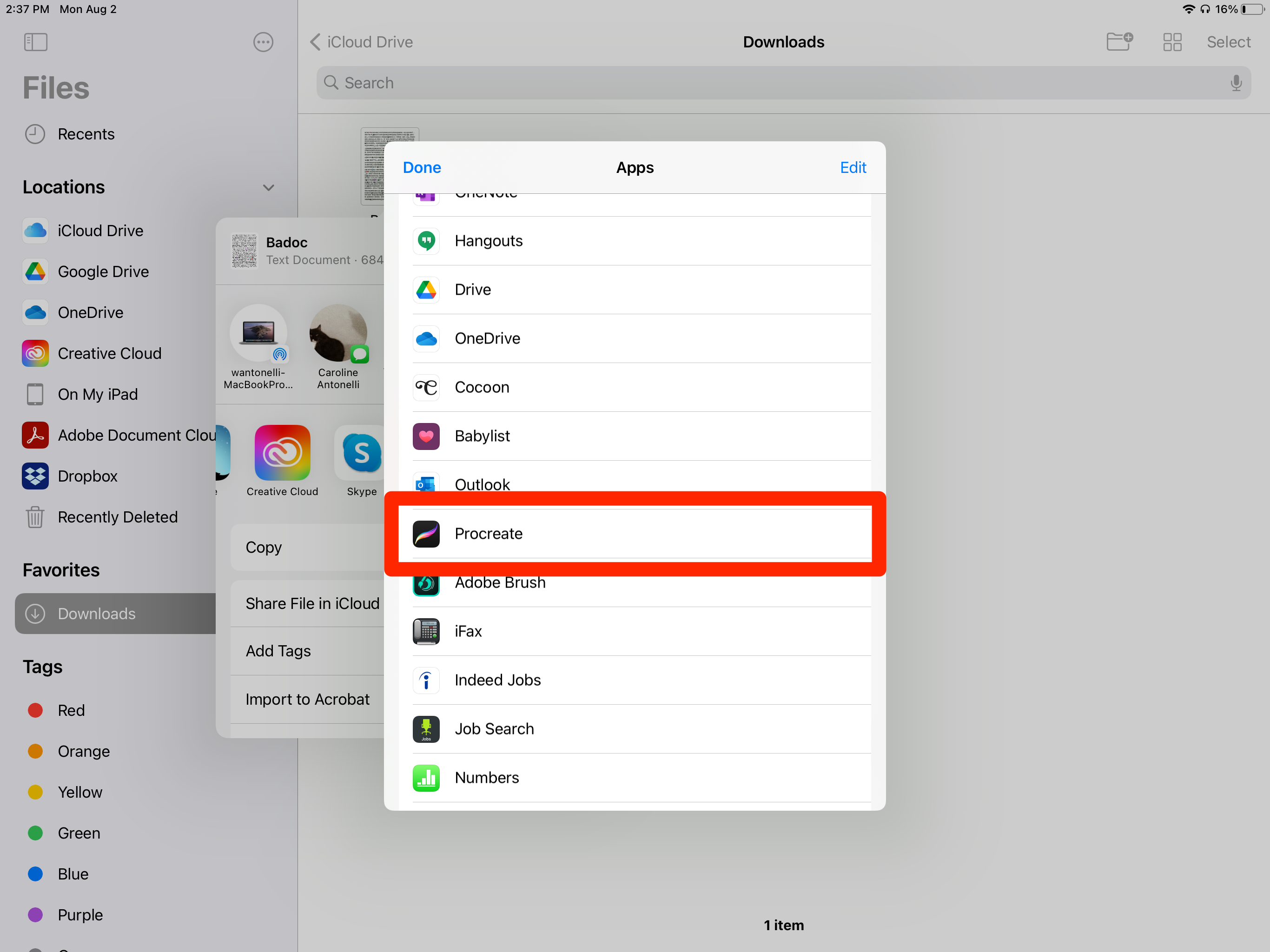 A list of iPad apps. Procreate is highlighted.