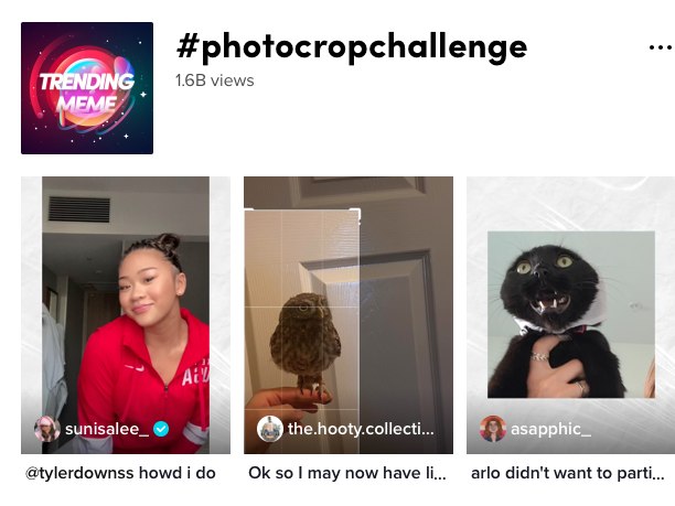tiktok