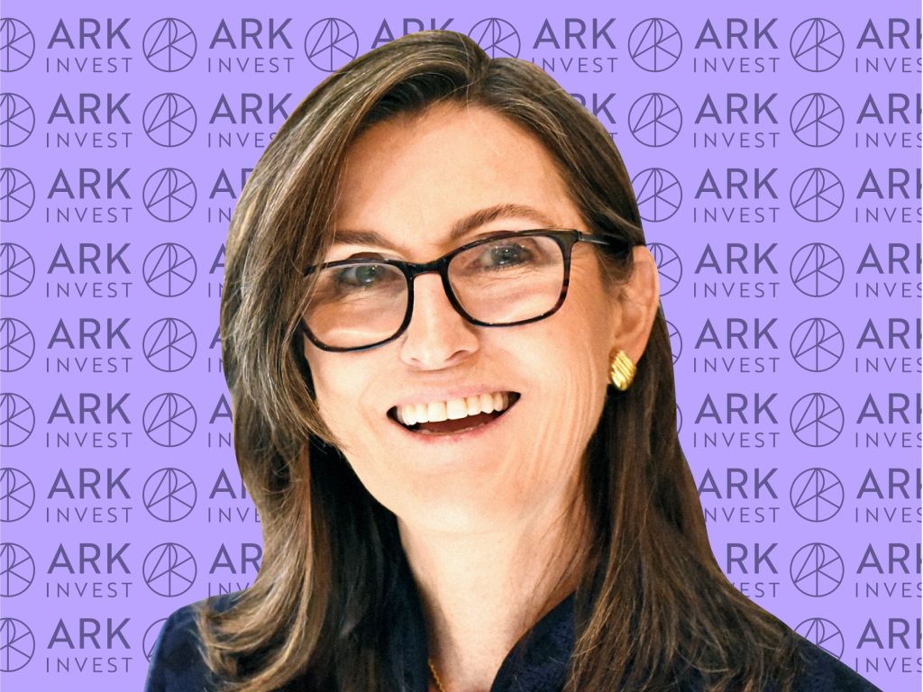Cathie Wood is the CEO and chief investment officer of ARK Invest, which runs three of the highest-returning stock ETFs of the last three years.