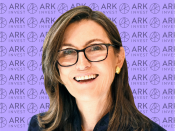 Cathie Wood is the CEO and chief investment officer of ARK Invest, which runs three of the highest-returning stock ETFs of the last three years.