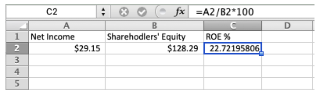 A screenshot of an excel sheet calculating return on equity.