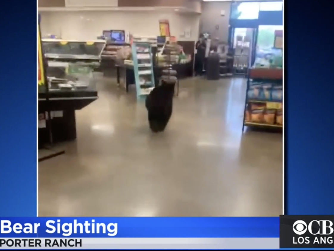 A bear stunned shoppers when it walked into a California supermarket Saturday.