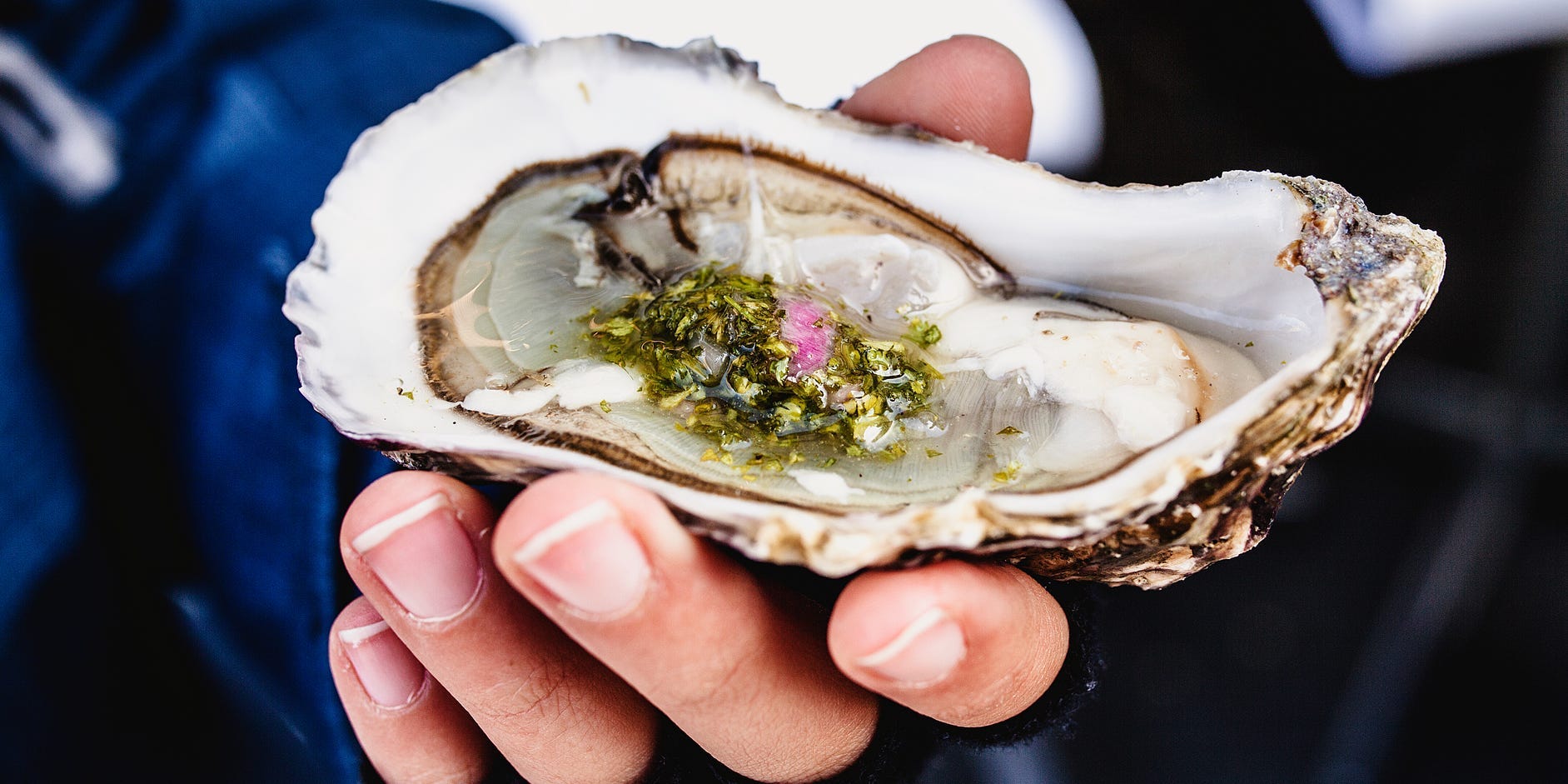 hand holding oysters