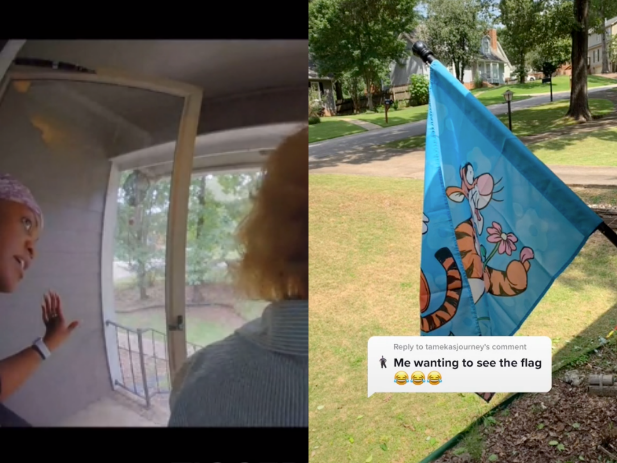 left: a woman leaning out of her front door and the back of the head of another woman; right: a blue flag with the character Tigger from Winnie the Pooh on it and text reading "me wanting to see the flag"