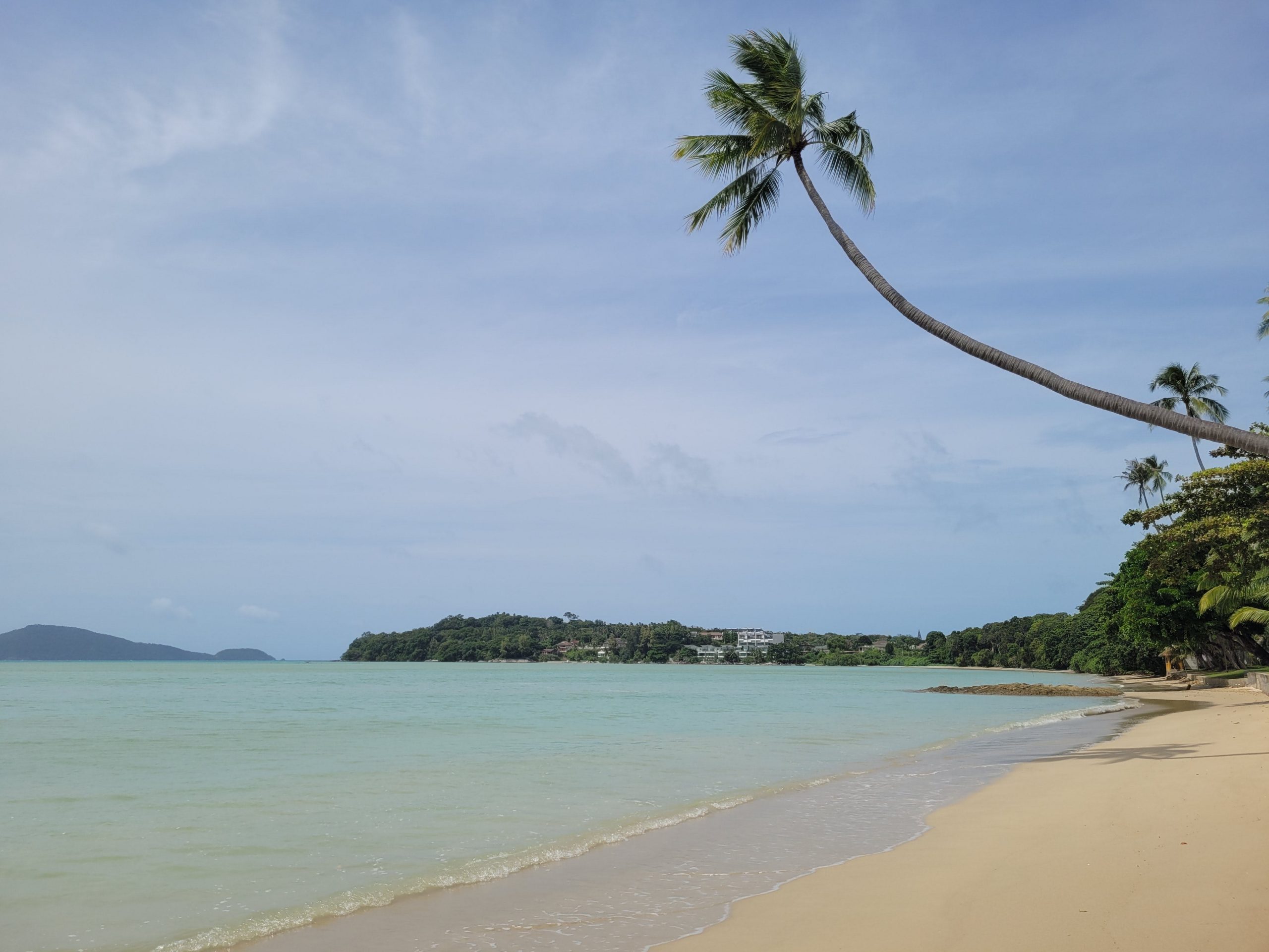 Photo of an empty beach and sea with palm tree extending into frame